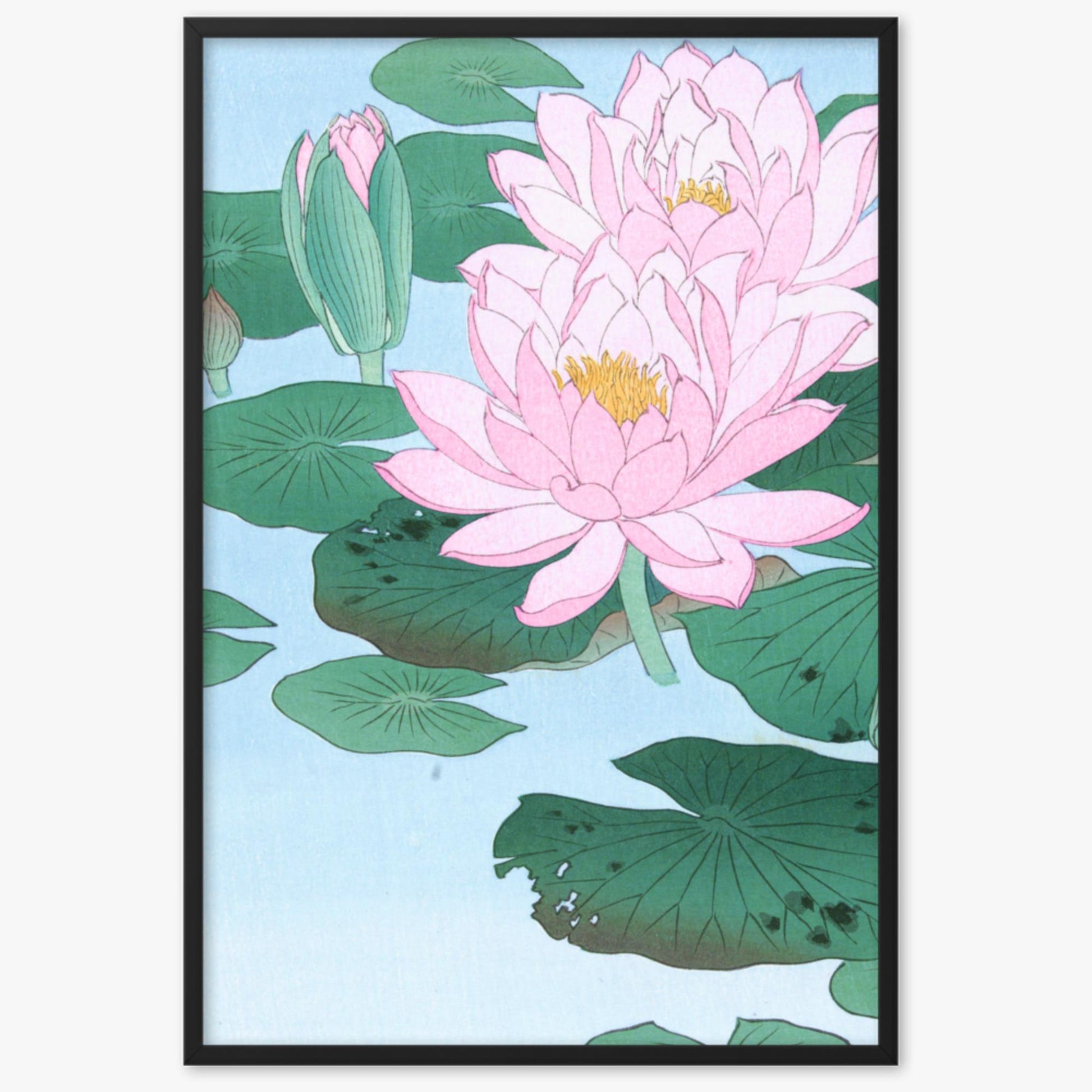 Ohara Koson - Water Lily 61x91 cm Poster With Black Frame