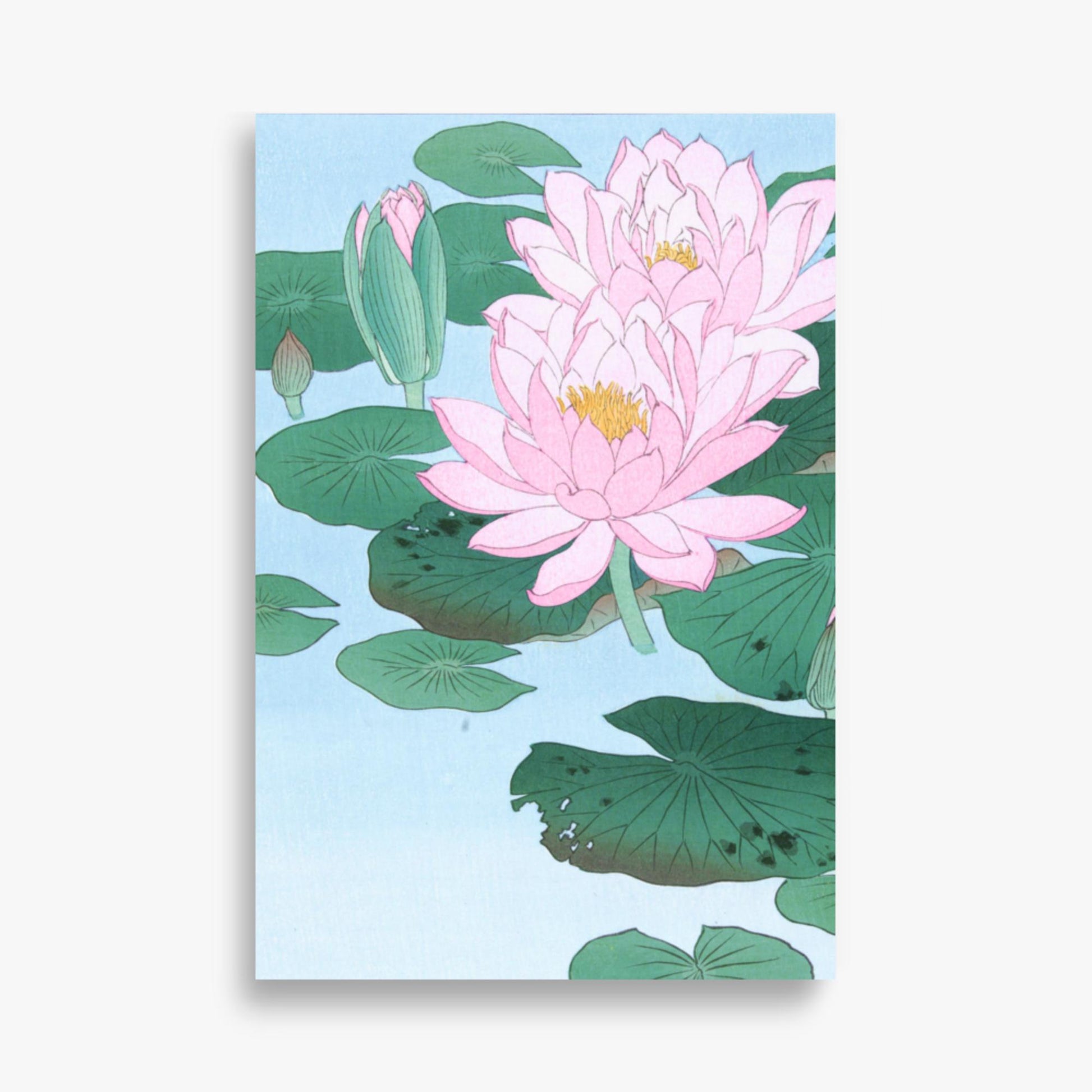Ohara Koson - Water Lily 61x91 cm Poster