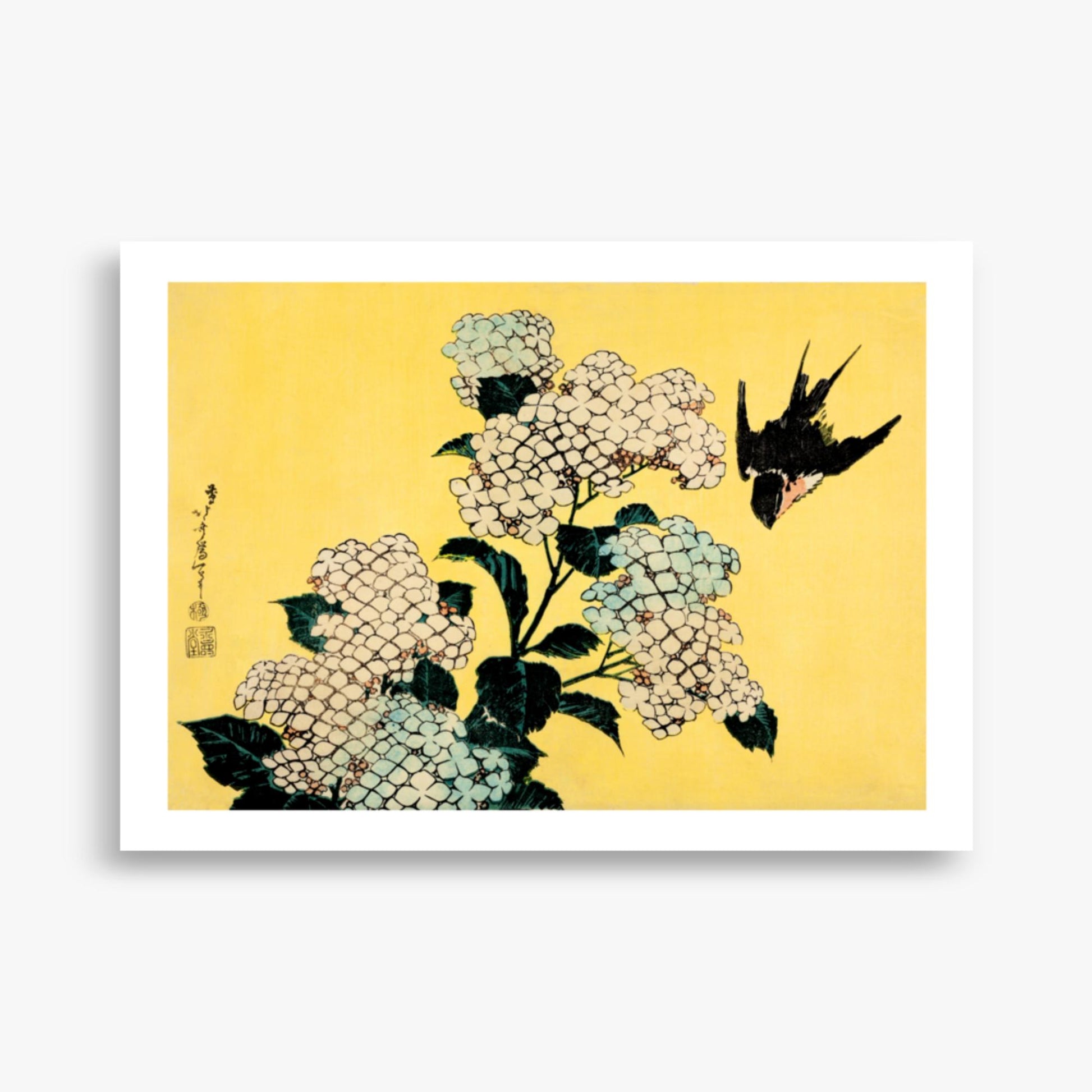 Katsushika Hokusai - Hydrangea and Swallow 50x70 cm Poster