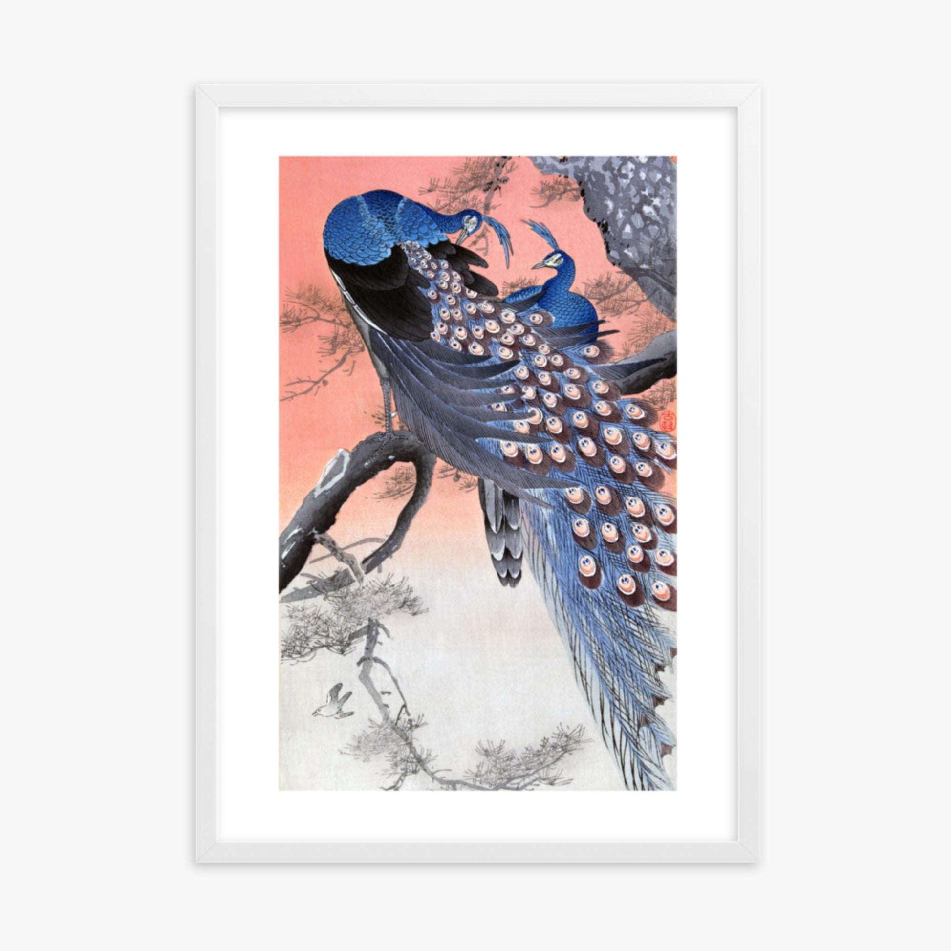 Ohara Koson - Two Peacocks on Tree Branch 50x70 cm Poster With White Frame