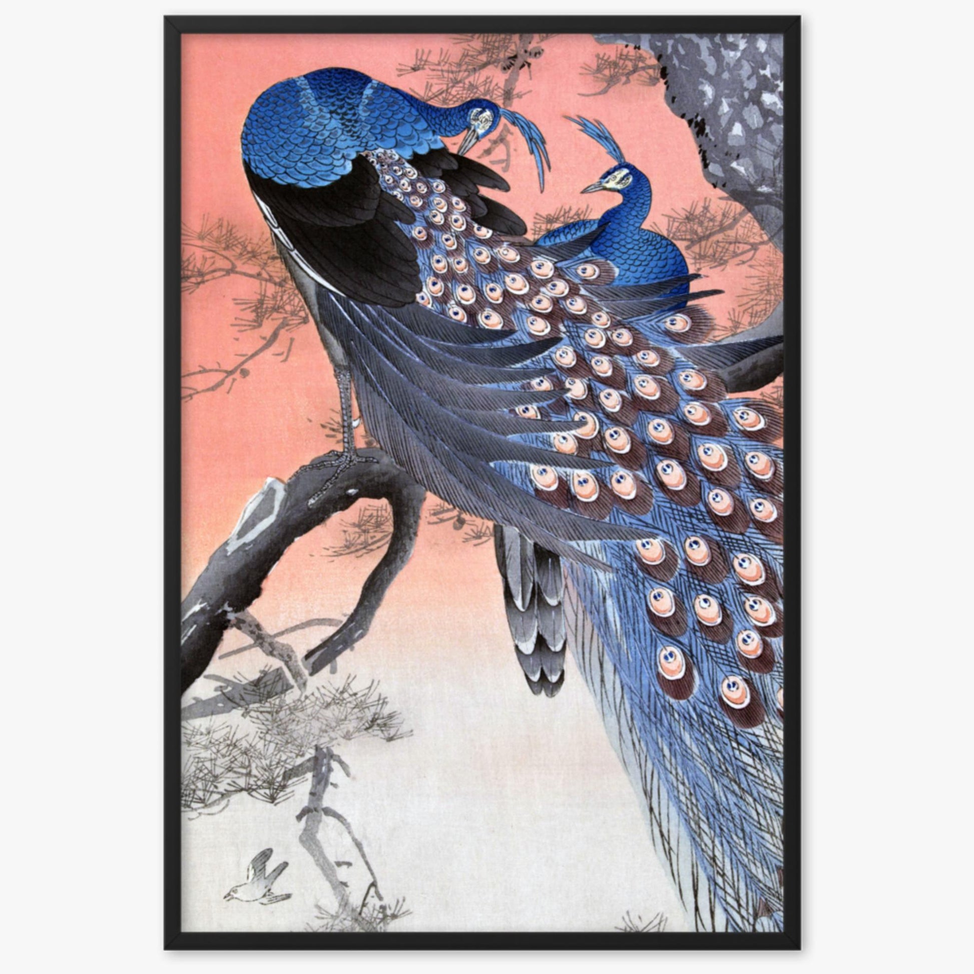 Ohara Koson - Two Peacocks on Tree Branch 61x91 cm Poster With Black Frame