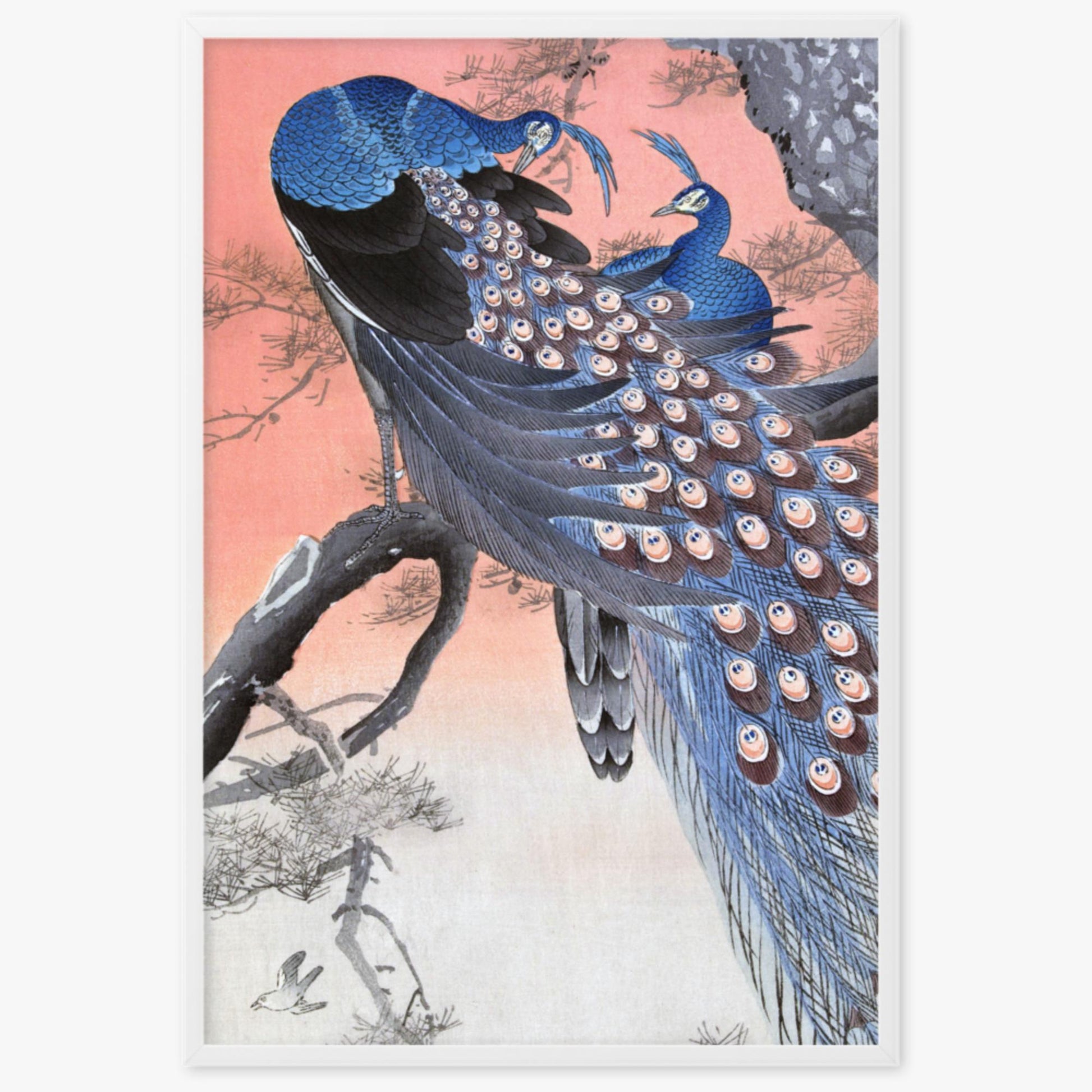 Ohara Koson - Two Peacocks on Tree Branch 61x91 cm Poster With White Frame