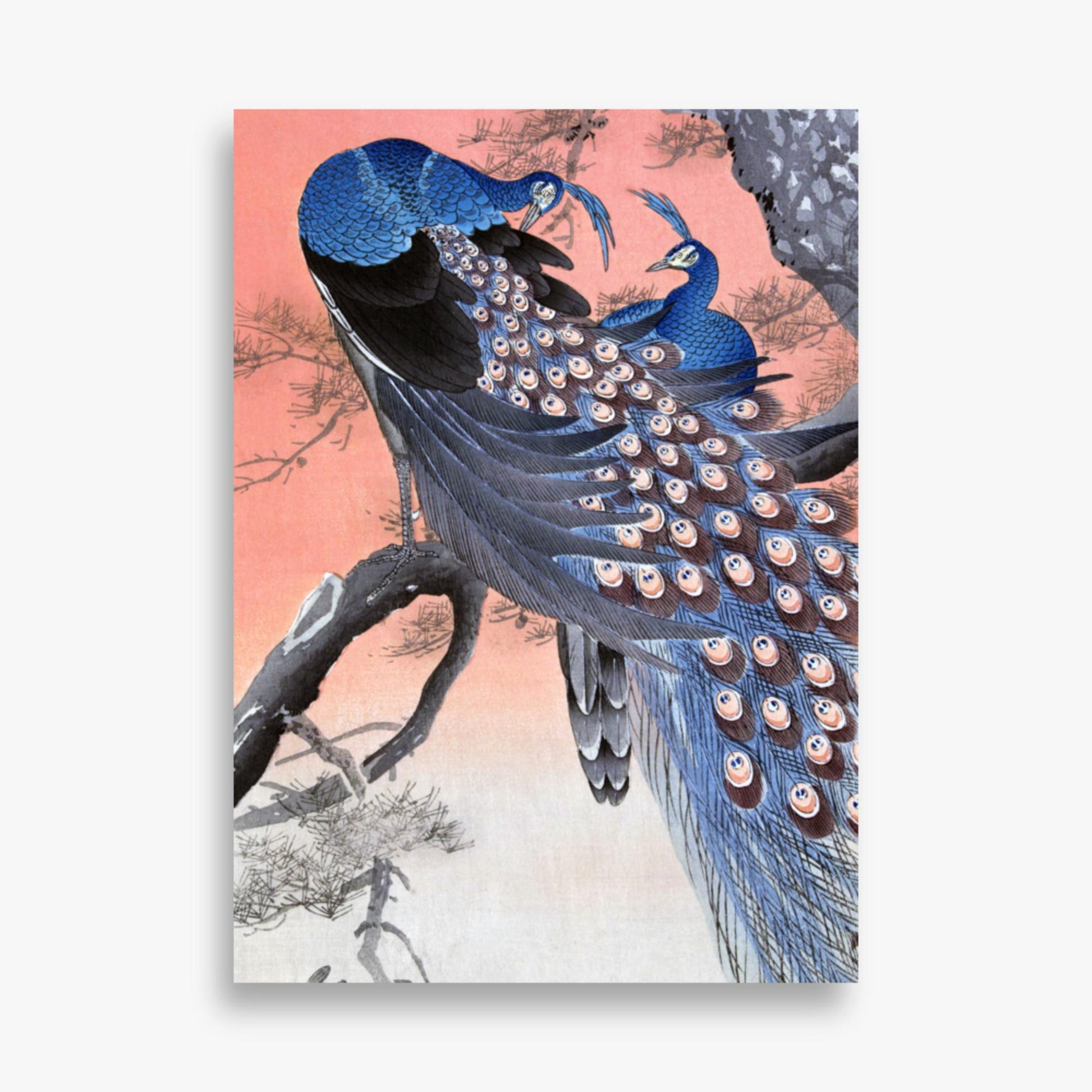 Ohara Koson - Two Peacocks on Tree Branch 50x70 cm Poster