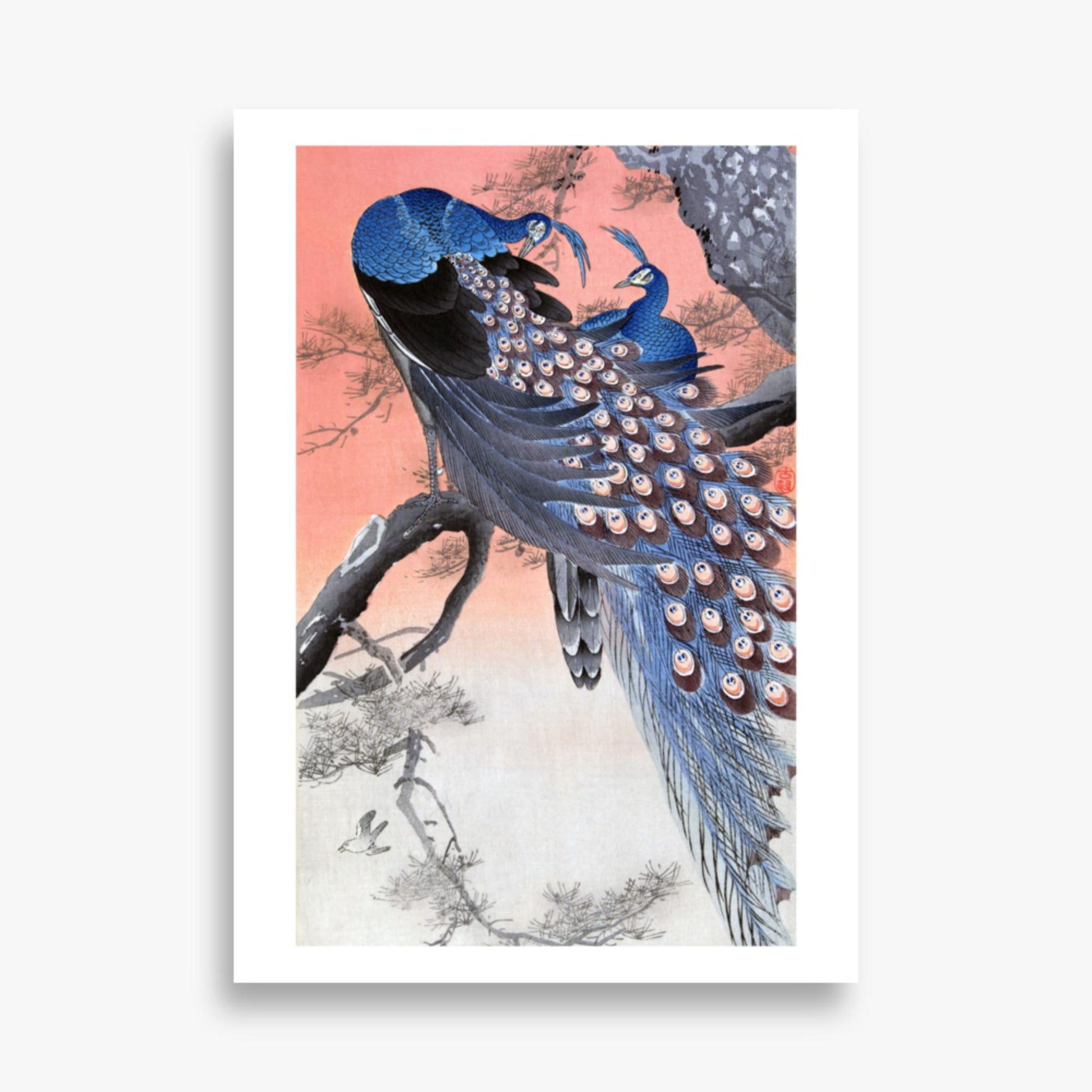 Ohara Koson - Two Peacocks on Tree Branch 50x70 cm Poster