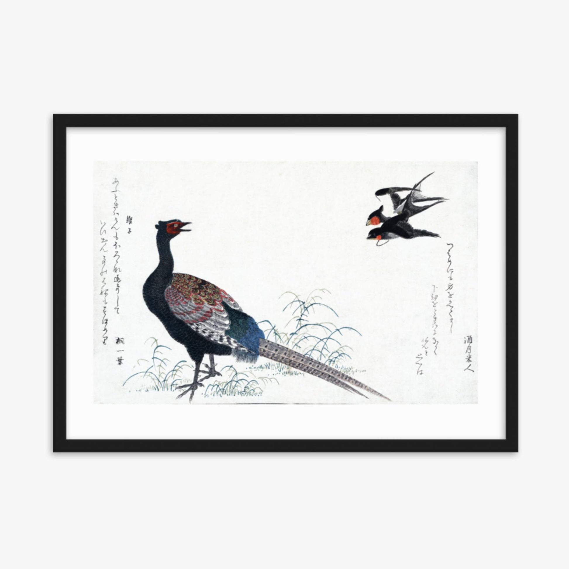 Utamaro Kitagawa - Swallows and Pheasant 50x70 cm Poster With Black Frame