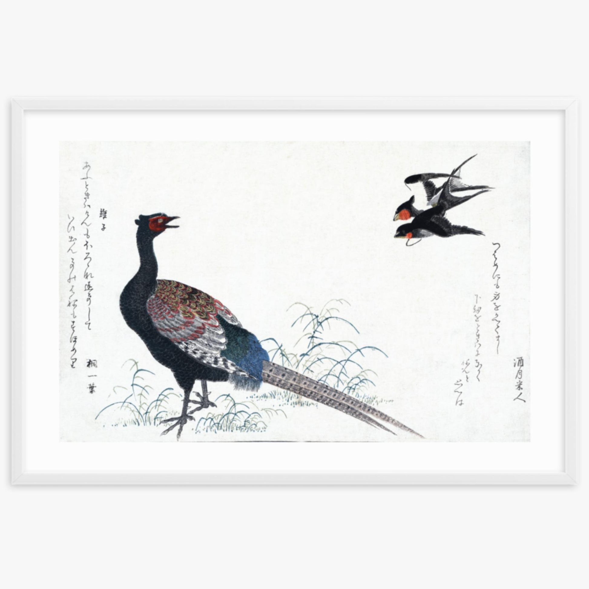 Utamaro Kitagawa - Swallows and Pheasant 61x91 cm Poster With White Frame