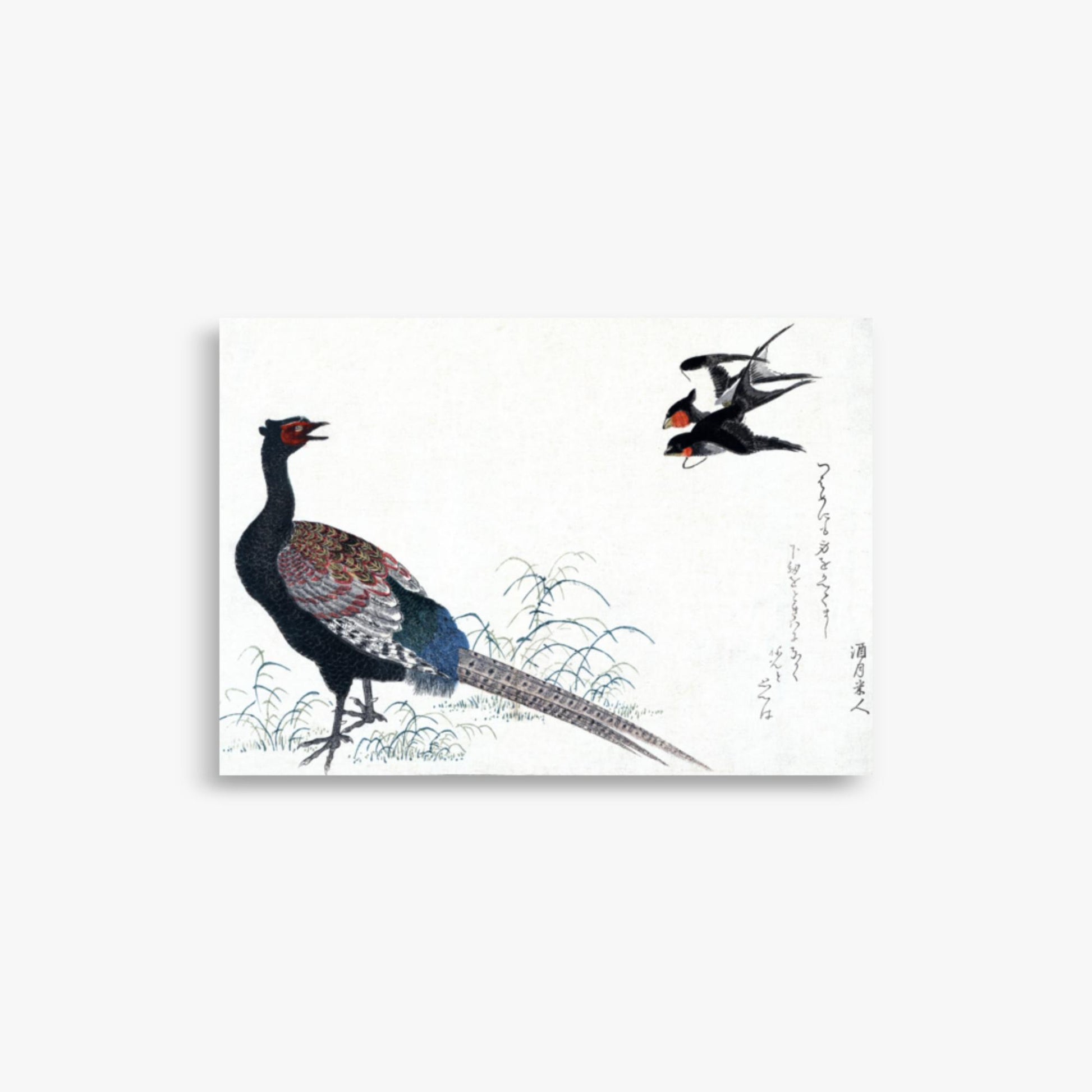 Utamaro Kitagawa - Swallows and Pheasant 21x30 cm Poster
