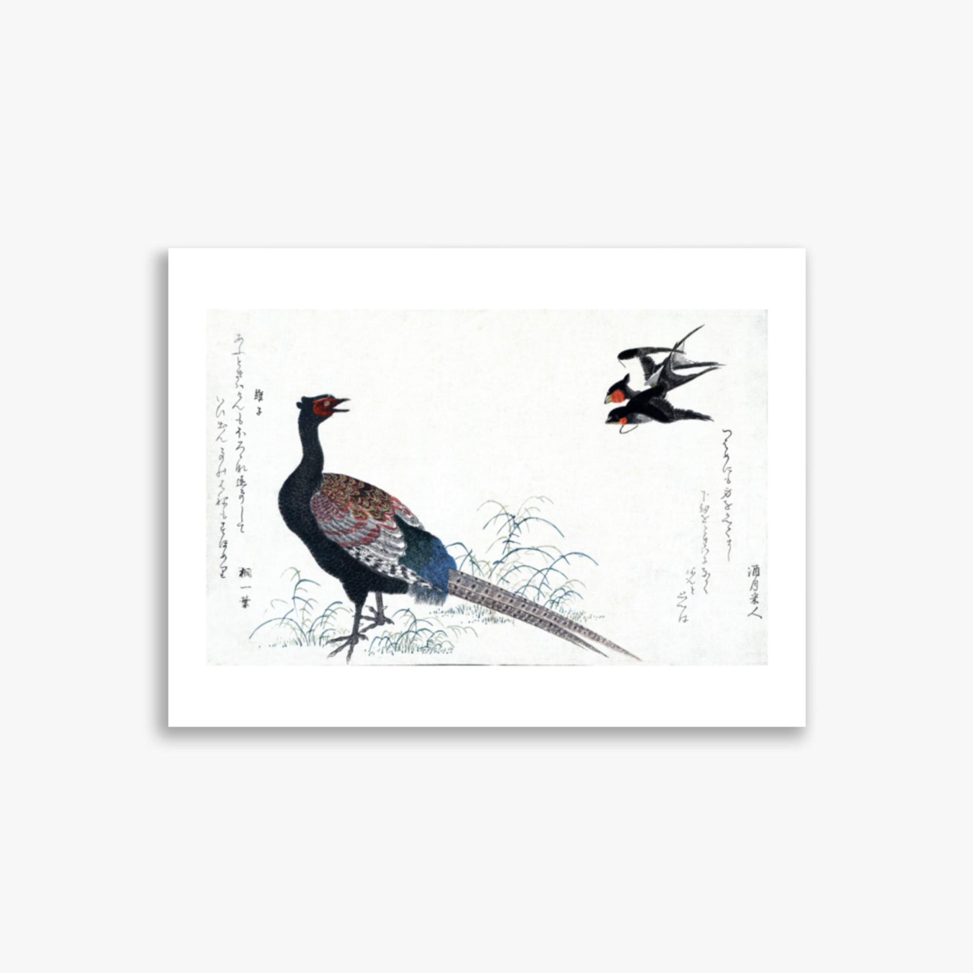 Utamaro Kitagawa - Swallows and Pheasant 30x40 cm Poster