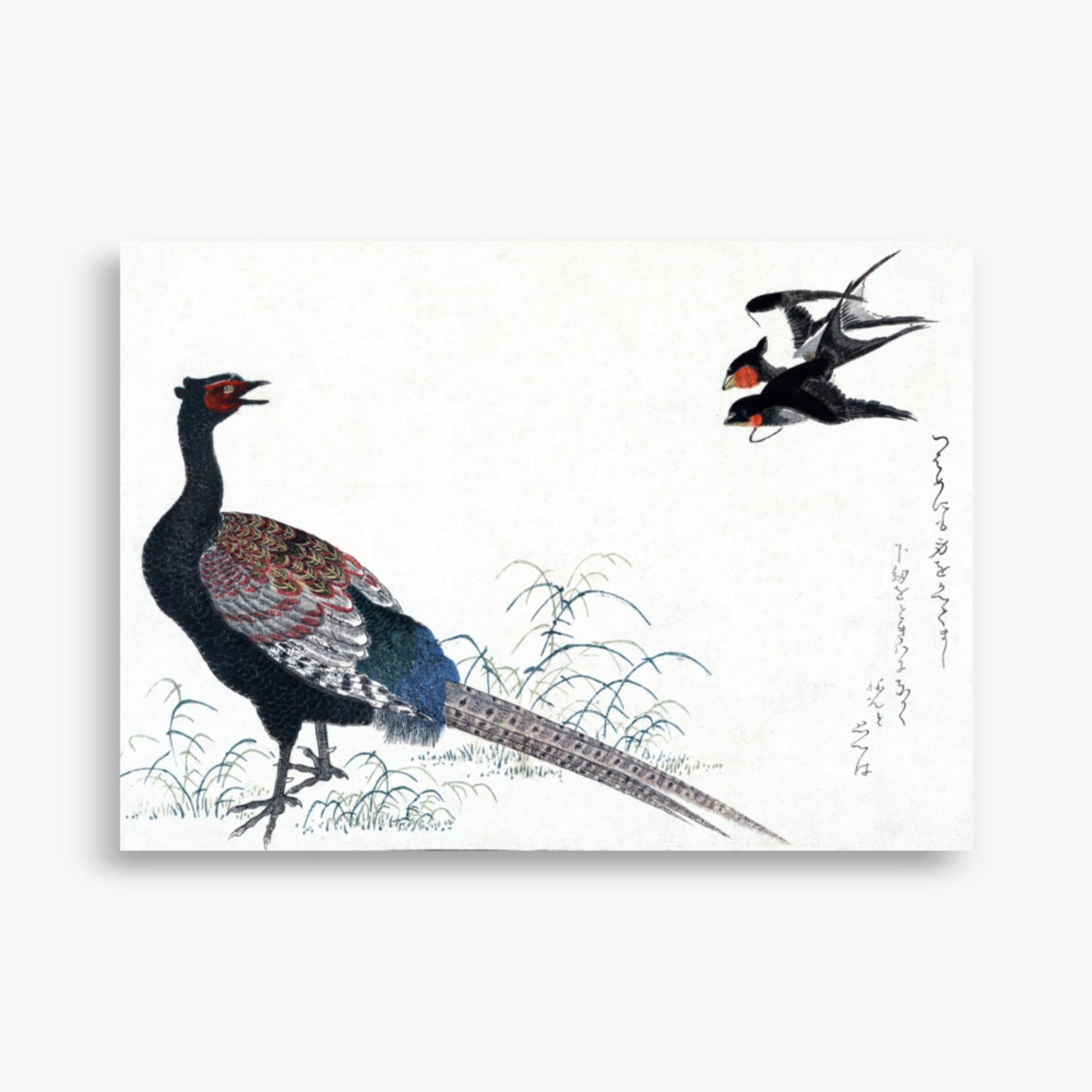 Utamaro Kitagawa - Swallows and Pheasant 50x70 cm Poster