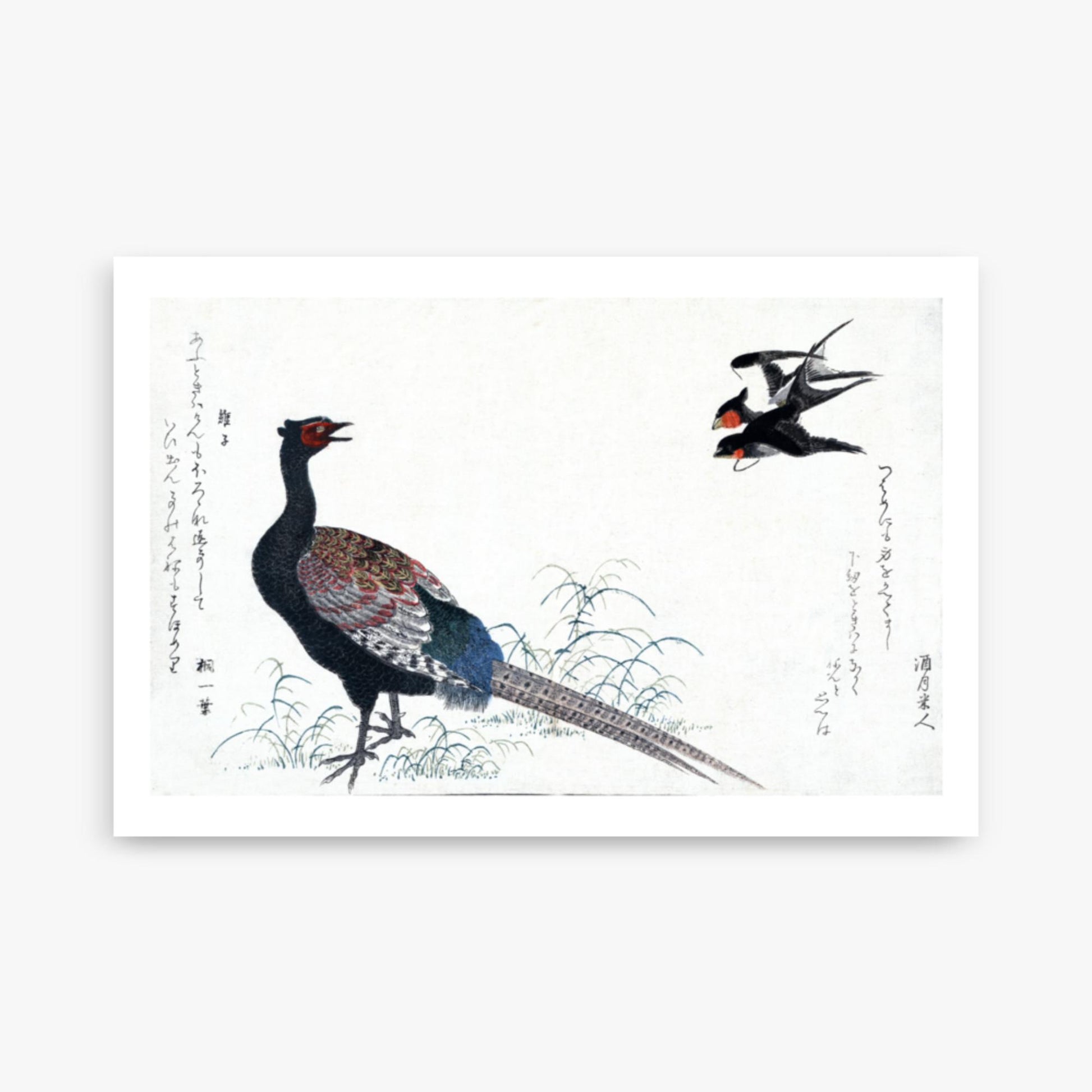 Utamaro Kitagawa - Swallows and Pheasant 61x91 cm Poster