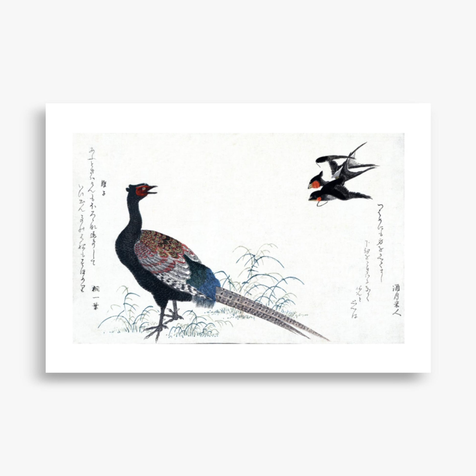 Utamaro Kitagawa - Swallows and Pheasant 70x100 cm Poster