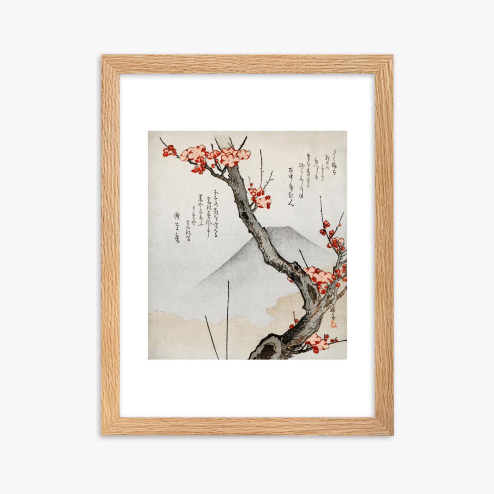 Teisai Hokuba - Mount Fuji and a Flowering Plum 30x40 cm Poster With Oak Frame