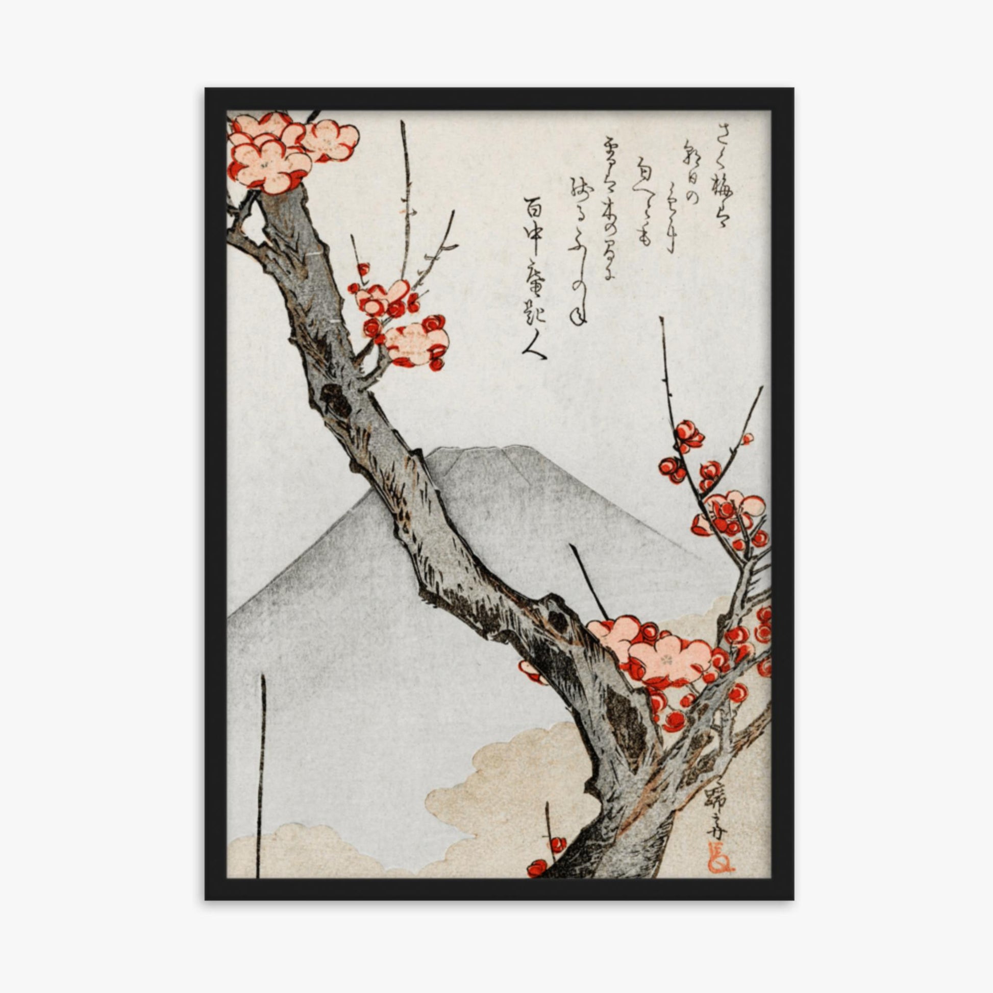 Teisai Hokuba - Mount Fuji and a Flowering Plum 50x70 cm Poster With Black Frame