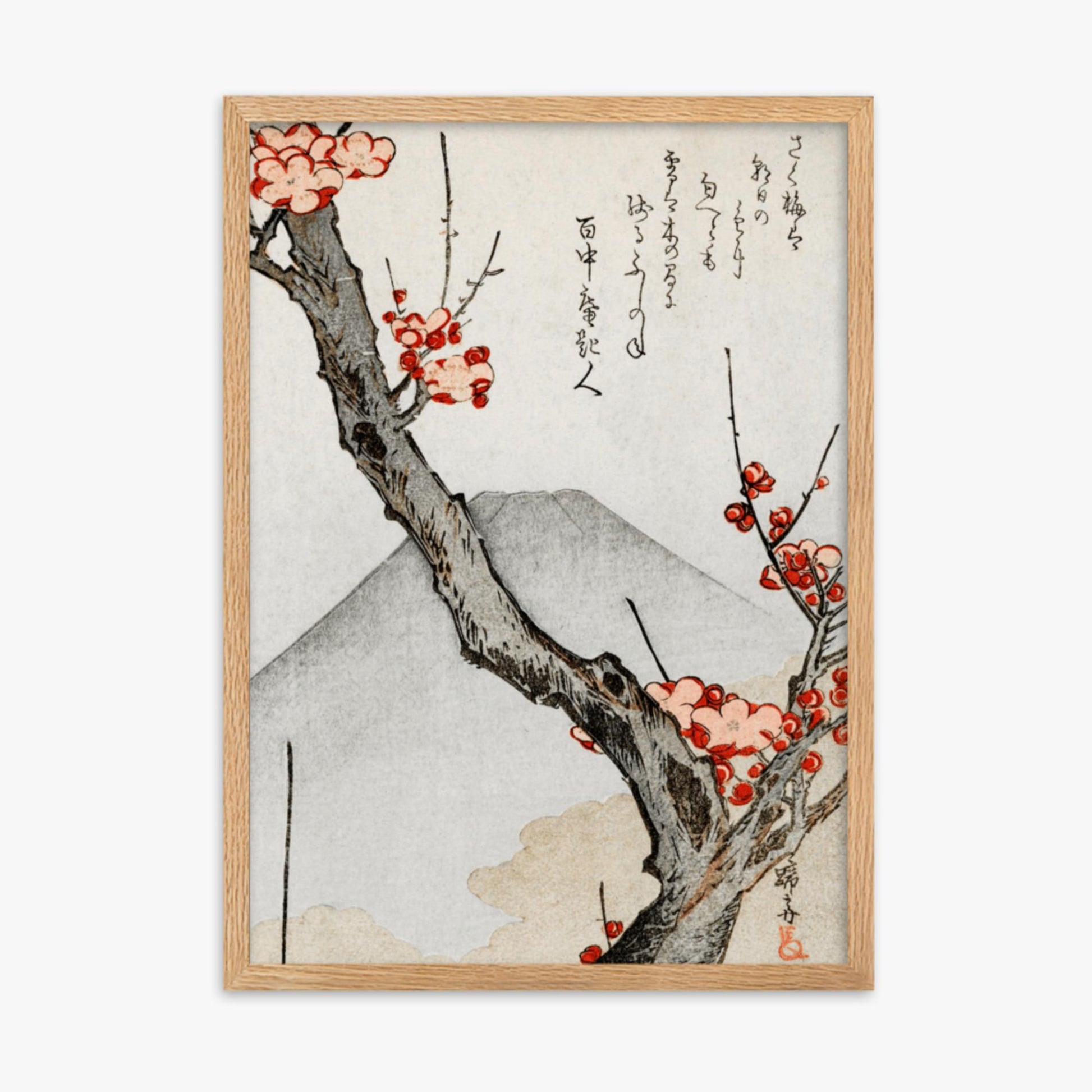 Teisai Hokuba - Mount Fuji and a Flowering Plum 50x70 cm Poster With Oak Frame