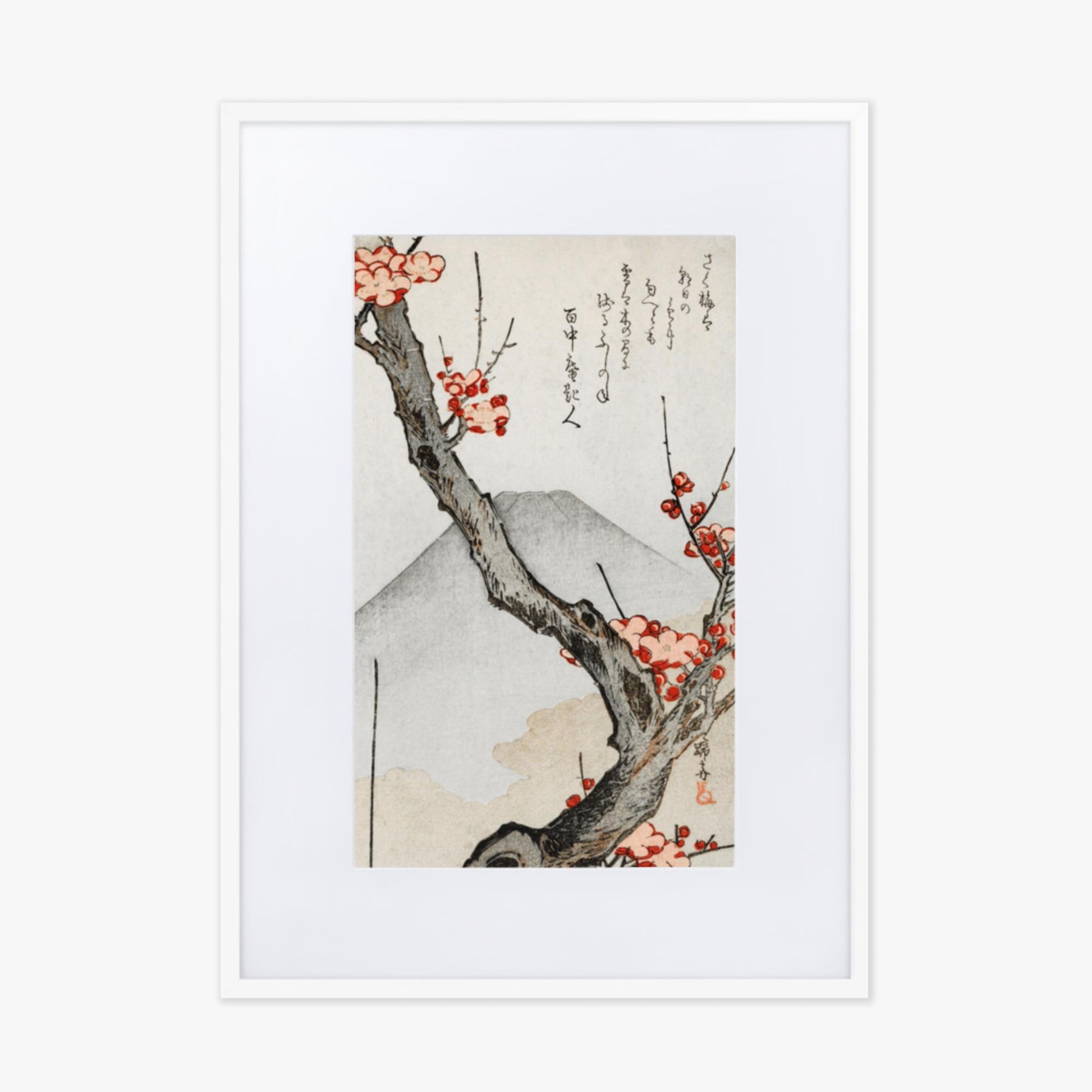 Teisai Hokuba - Mount Fuji and a Flowering Plum 50x70 cm Poster With White Frame