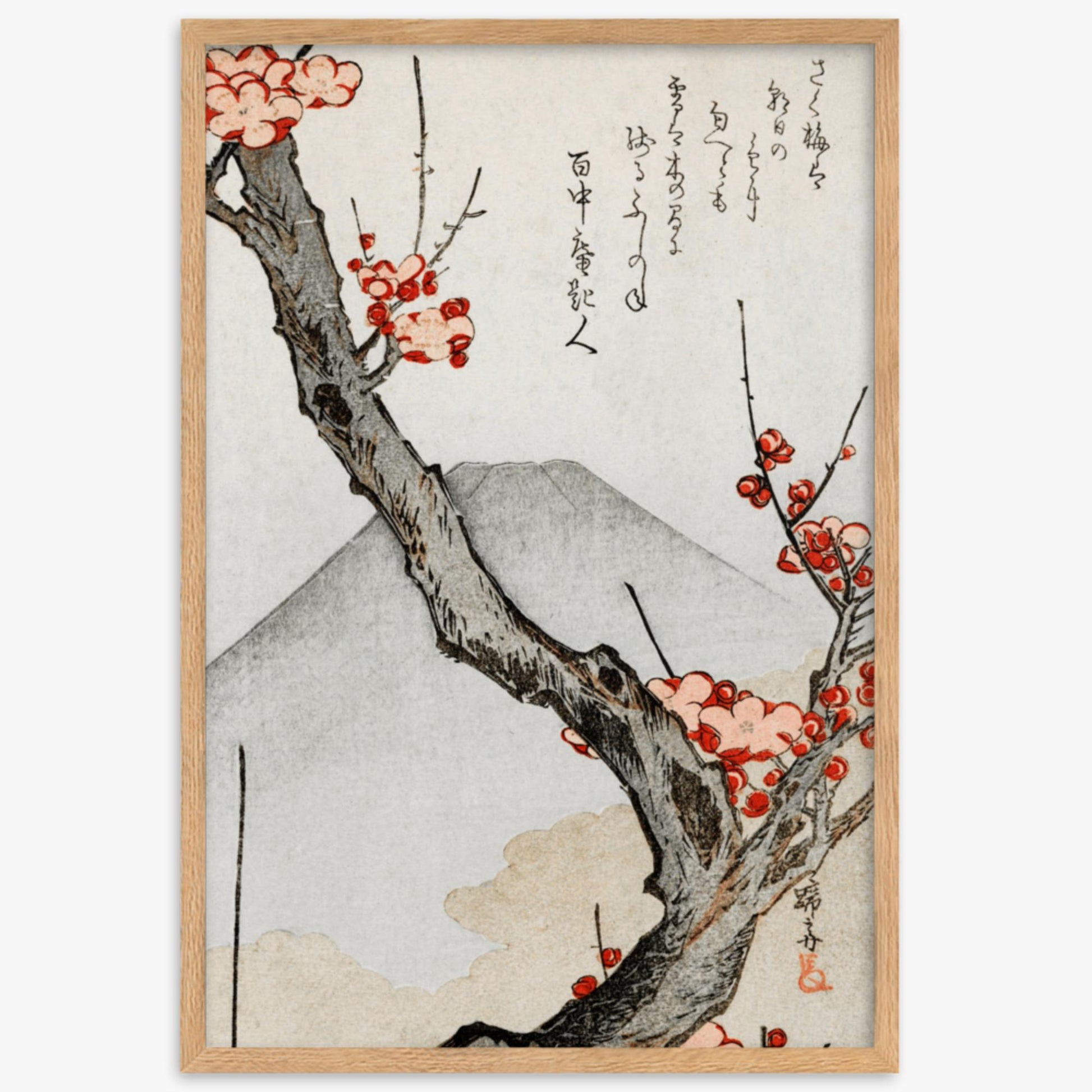 Teisai Hokuba - Mount Fuji and a Flowering Plum 61x91 cm Poster With Oak Frame