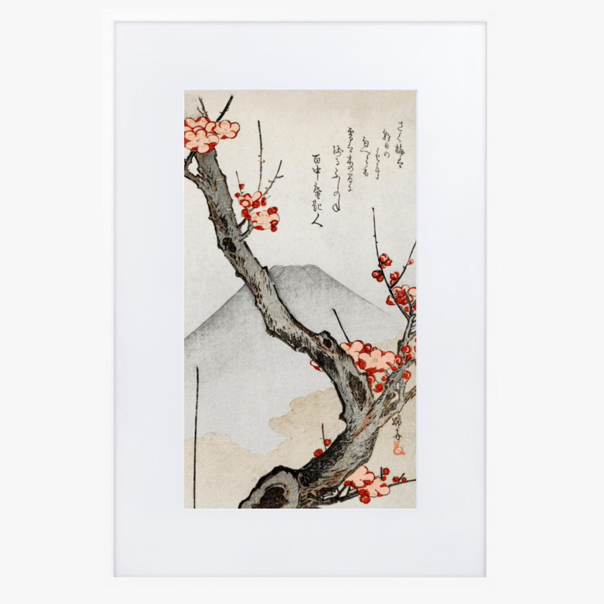 Teisai Hokuba - Mount Fuji and a Flowering Plum 61x91 cm Poster With White Frame