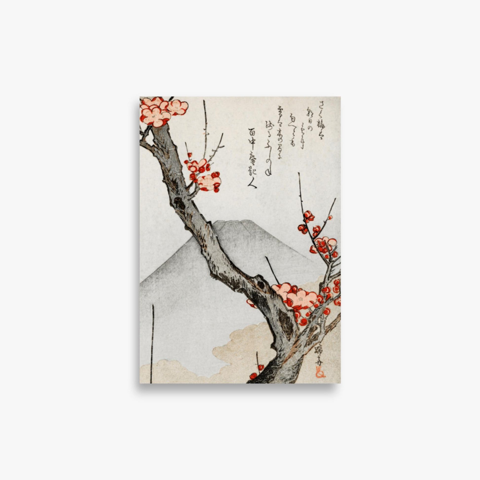 Teisai Hokuba - Mount Fuji and a Flowering Plum 21x30 cm Poster