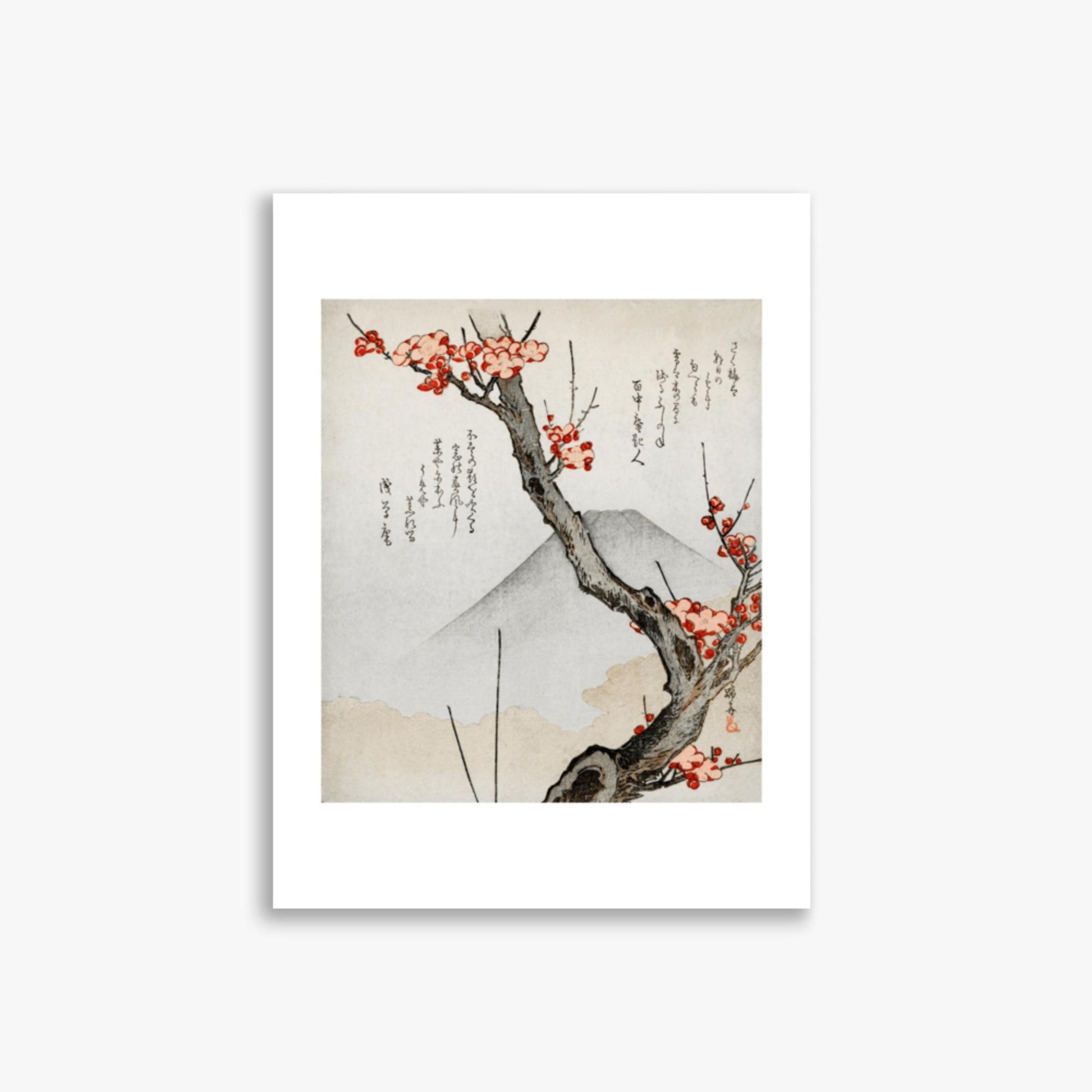 Teisai Hokuba - Mount Fuji and a Flowering Plum 30x40 cm Poster