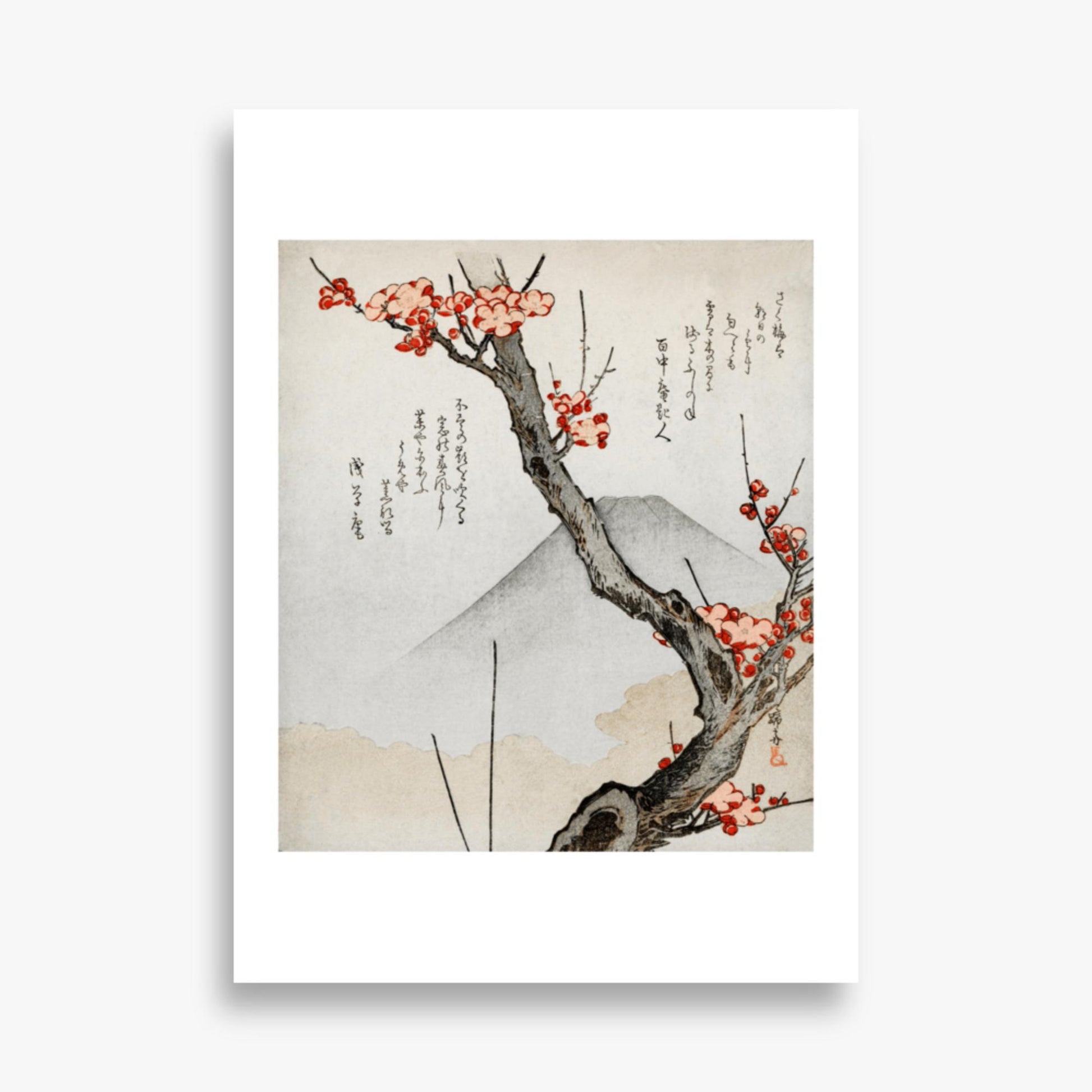 Teisai Hokuba - Mount Fuji and a Flowering Plum 50x70 cm Poster