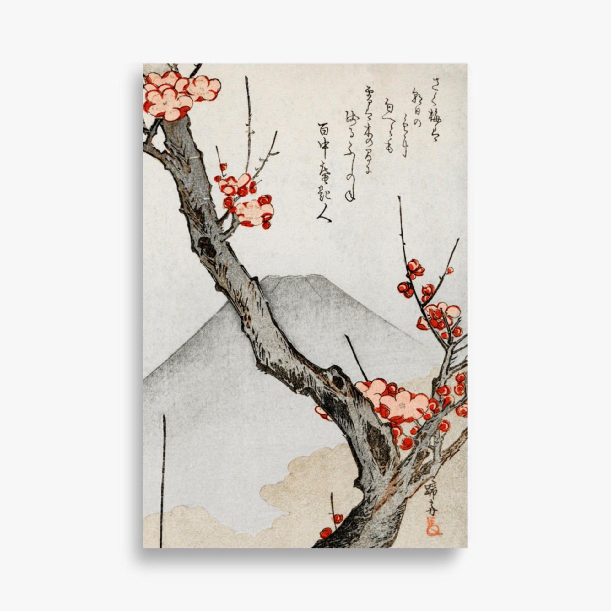 Teisai Hokuba - Mount Fuji and a Flowering Plum 61x91 cm Poster