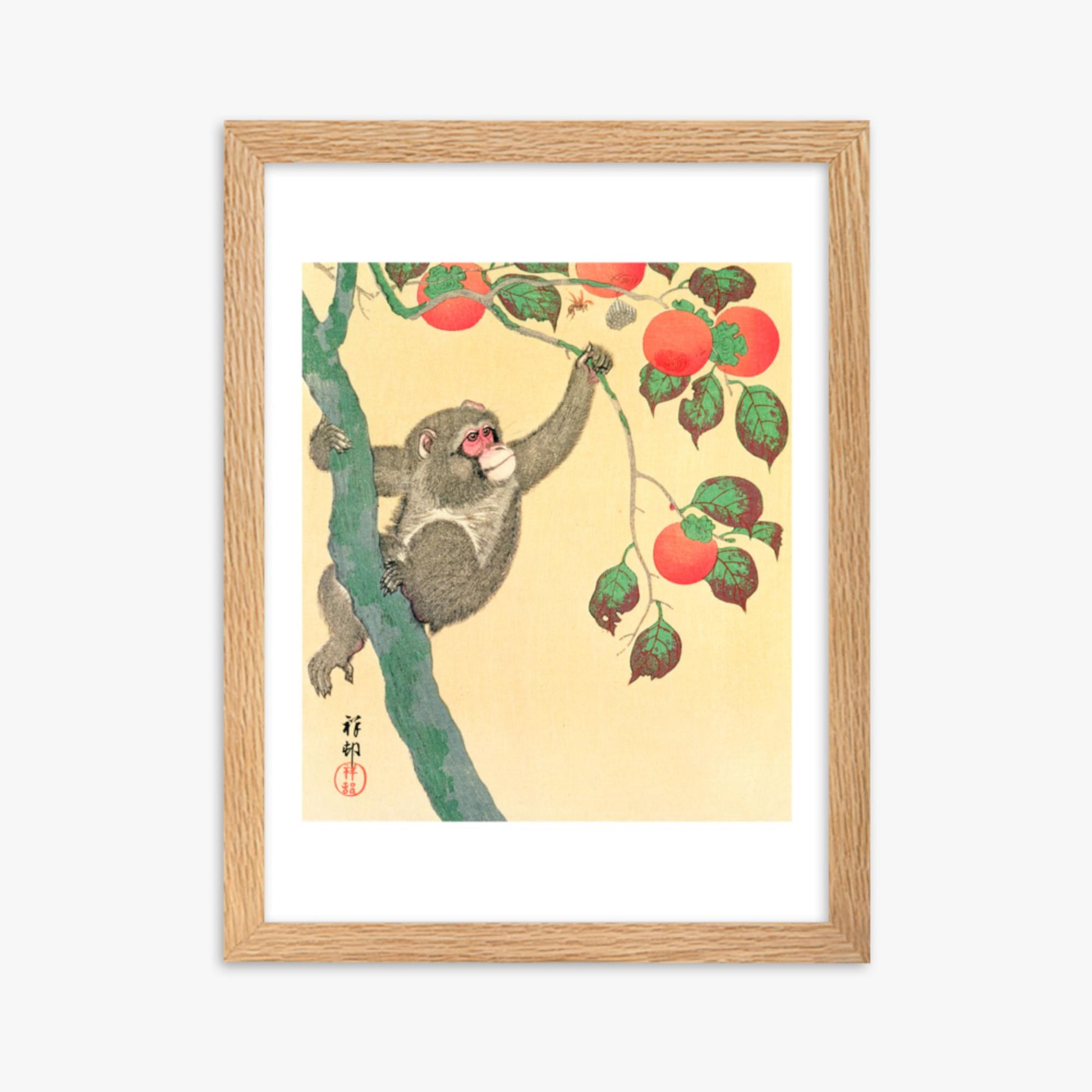 Ohara Koson: Monkey in a Persimmon - 30x40 cm Poster With Oak Frame