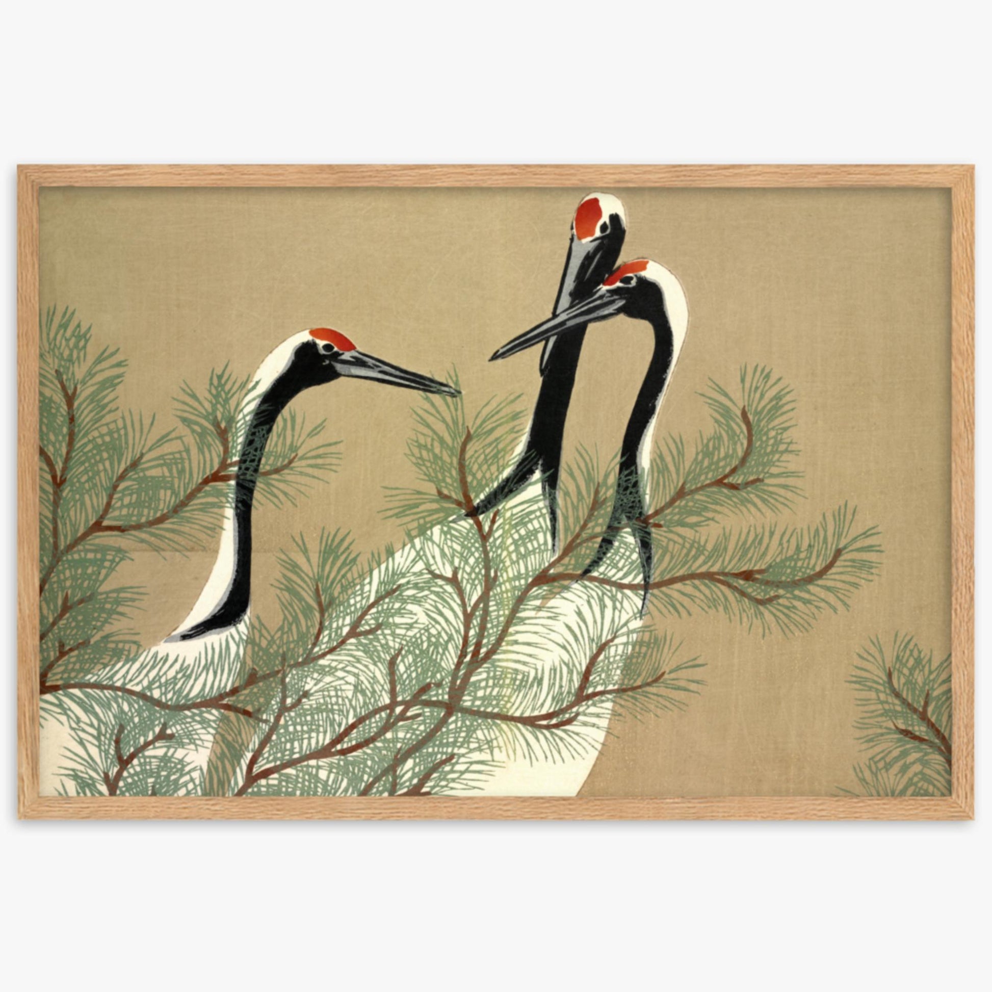 Kamisaka Sekka: Tsuru, from Momoyo-gusa - 61x91 cm Poster With Oak Frame