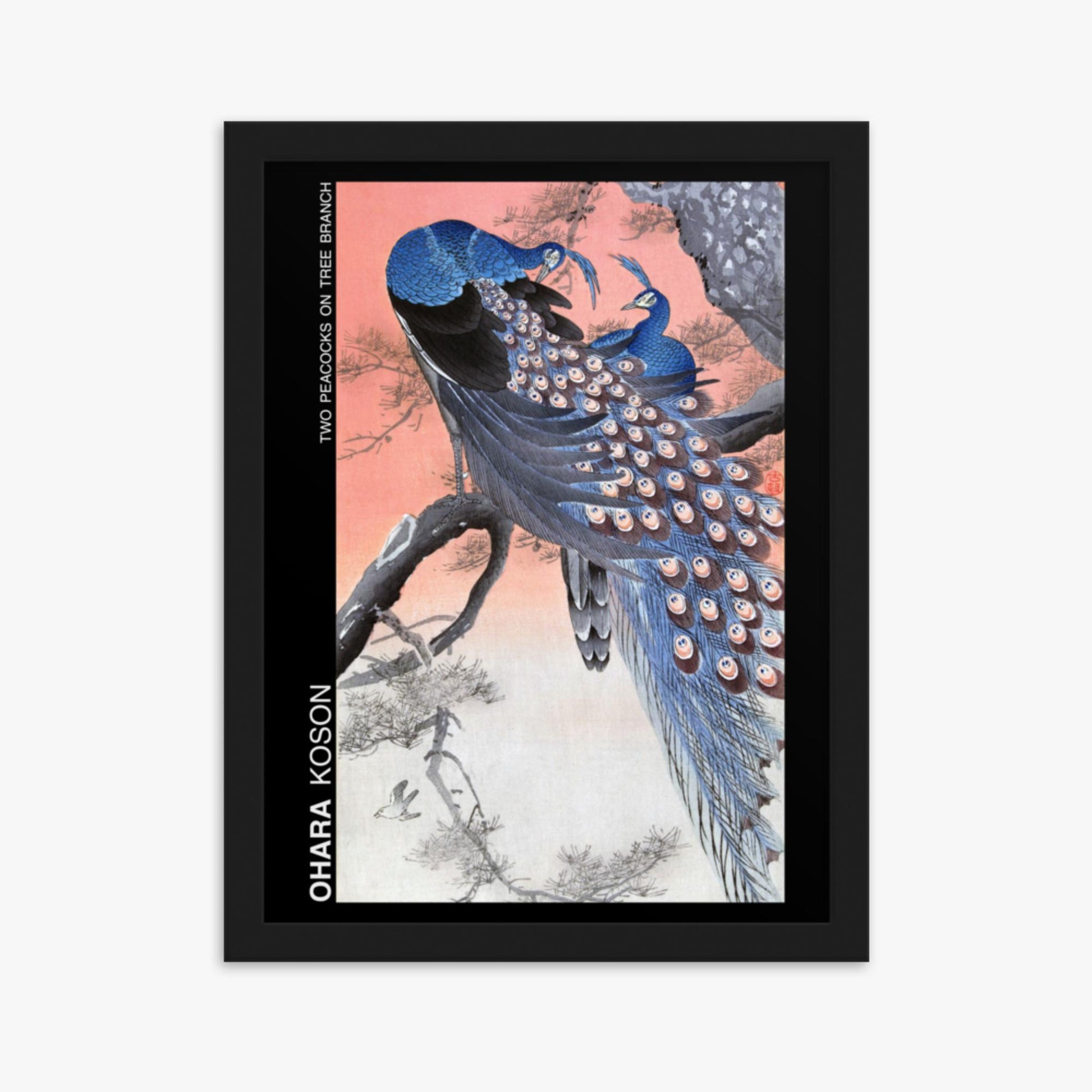 Ohara Koson - Two peacocks on tree branch - Decoration 30x40 cm Poster With Black Frame