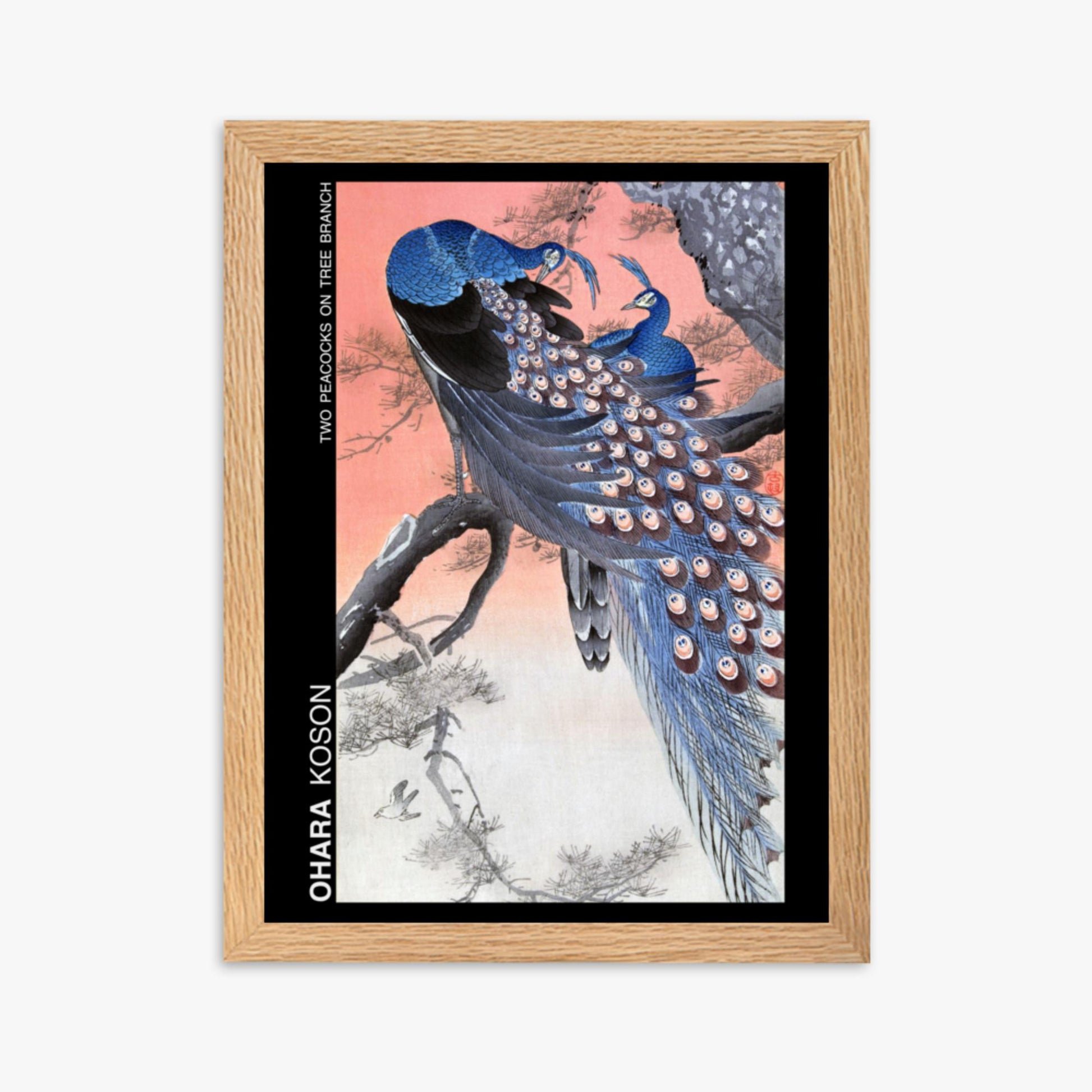 Ohara Koson - Two peacocks on tree branch - Decoration 30x40 cm Poster With Oak Frame