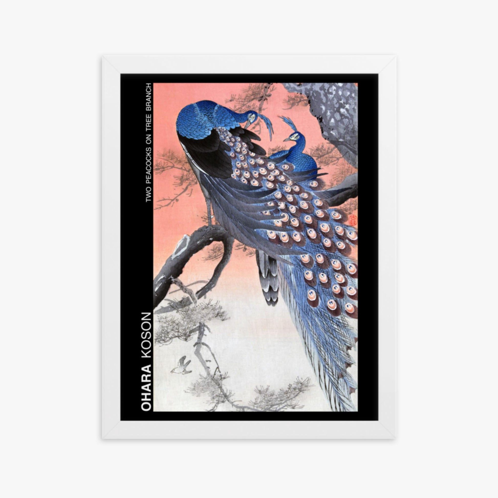 Ohara Koson - Two peacocks on tree branch - Decoration 30x40 cm Poster With White Frame