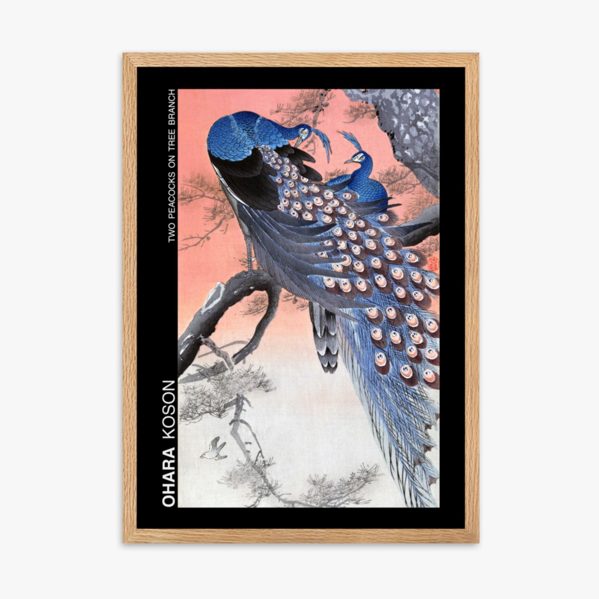 Ohara Koson - Two peacocks on tree branch - Decoration 50x70 cm Poster With Oak Frame