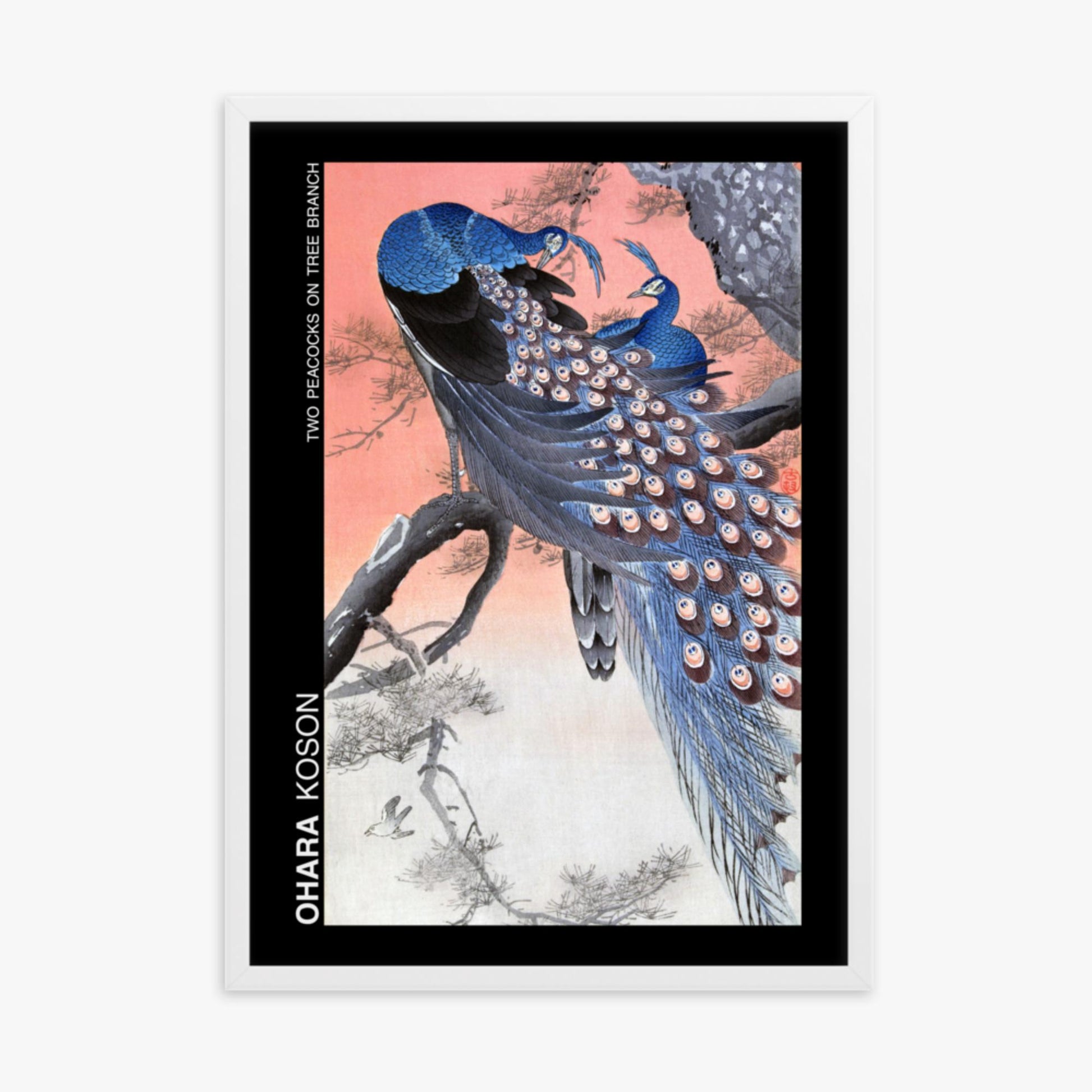 Ohara Koson - Two peacocks on tree branch - Decoration 50x70 cm Poster With White Frame
