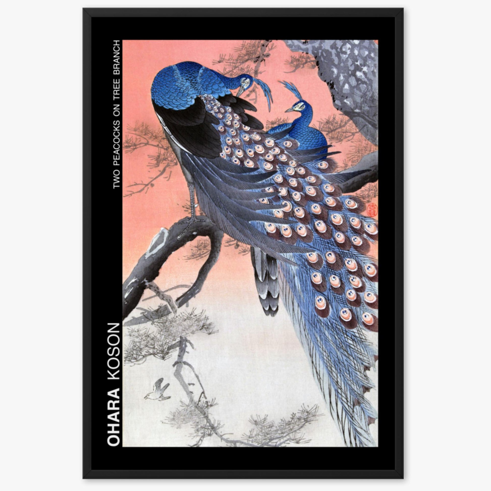 Ohara Koson - Two peacocks on tree branch - Decoration 61x91 cm Poster With Black Frame
