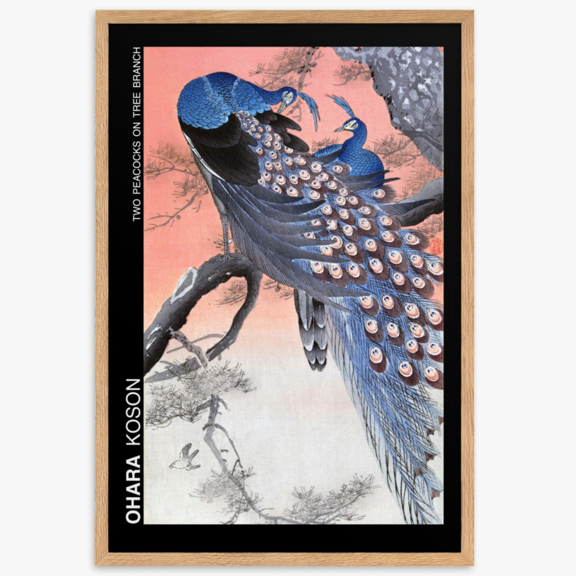 Ohara Koson - Two peacocks on tree branch - Decoration 61x91 cm Poster With Oak Frame