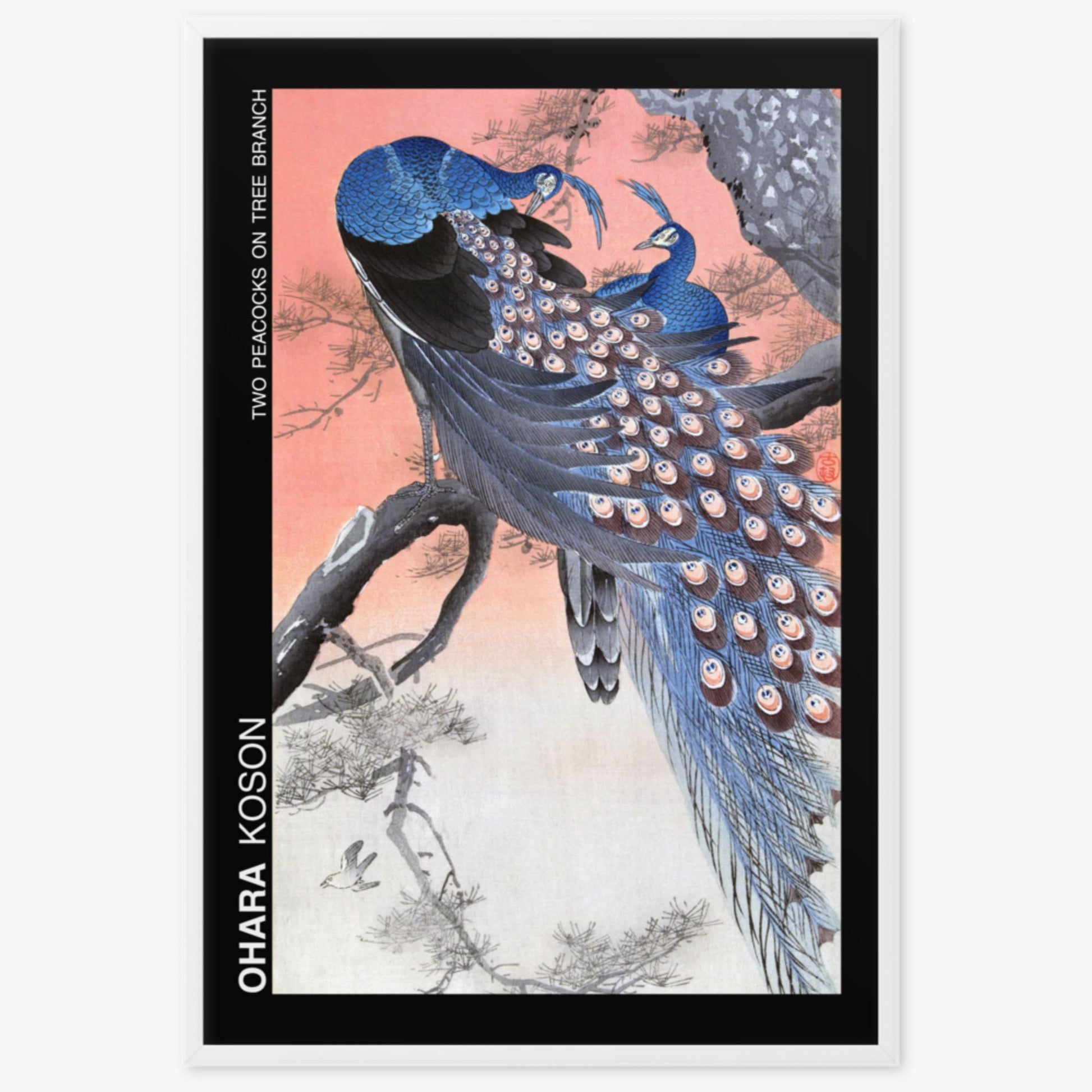 Ohara Koson - Two peacocks on tree branch - Decoration 61x91 cm Poster With White Frame