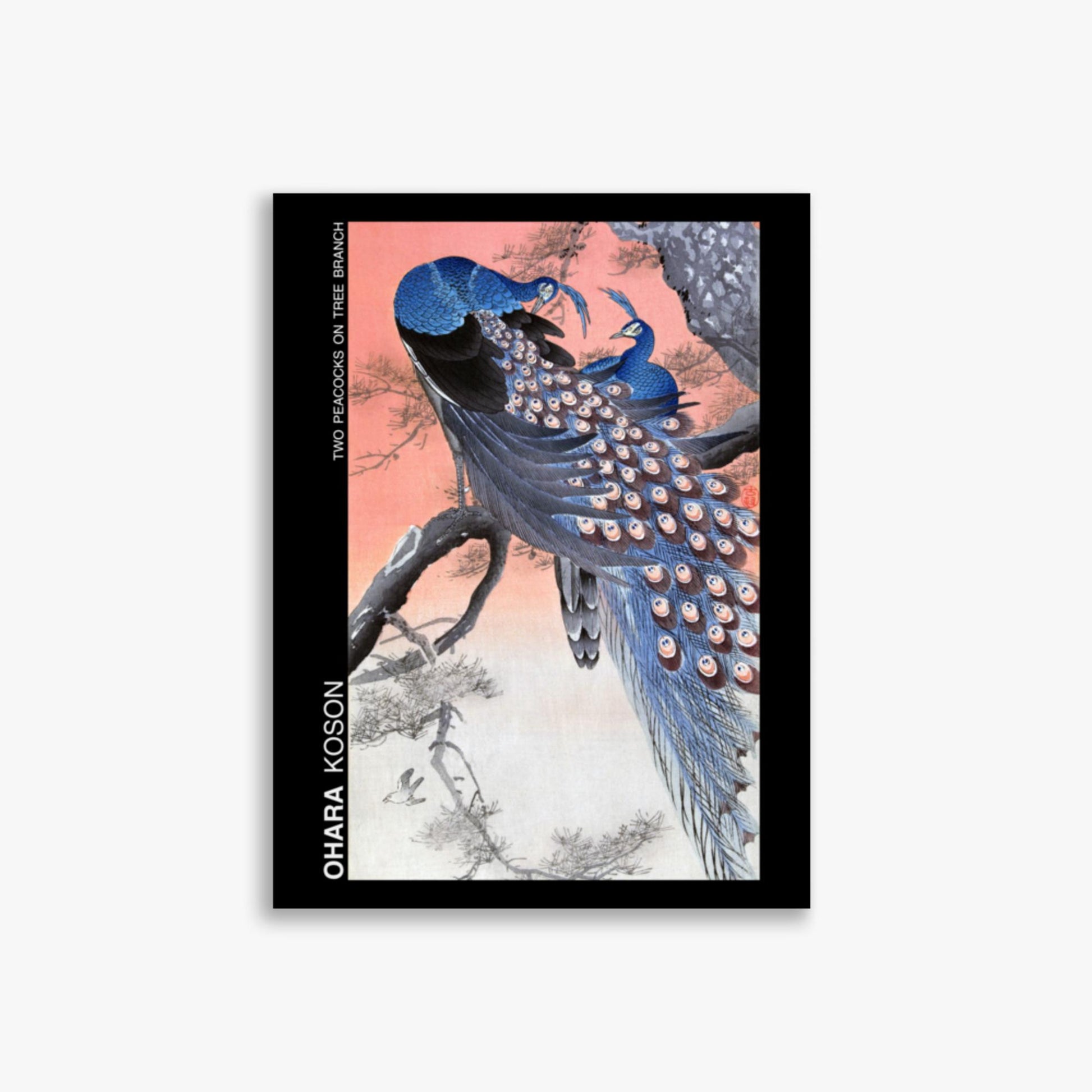 Ohara Koson - Two peacocks on tree branch - Decoration 30x40 cm Poster