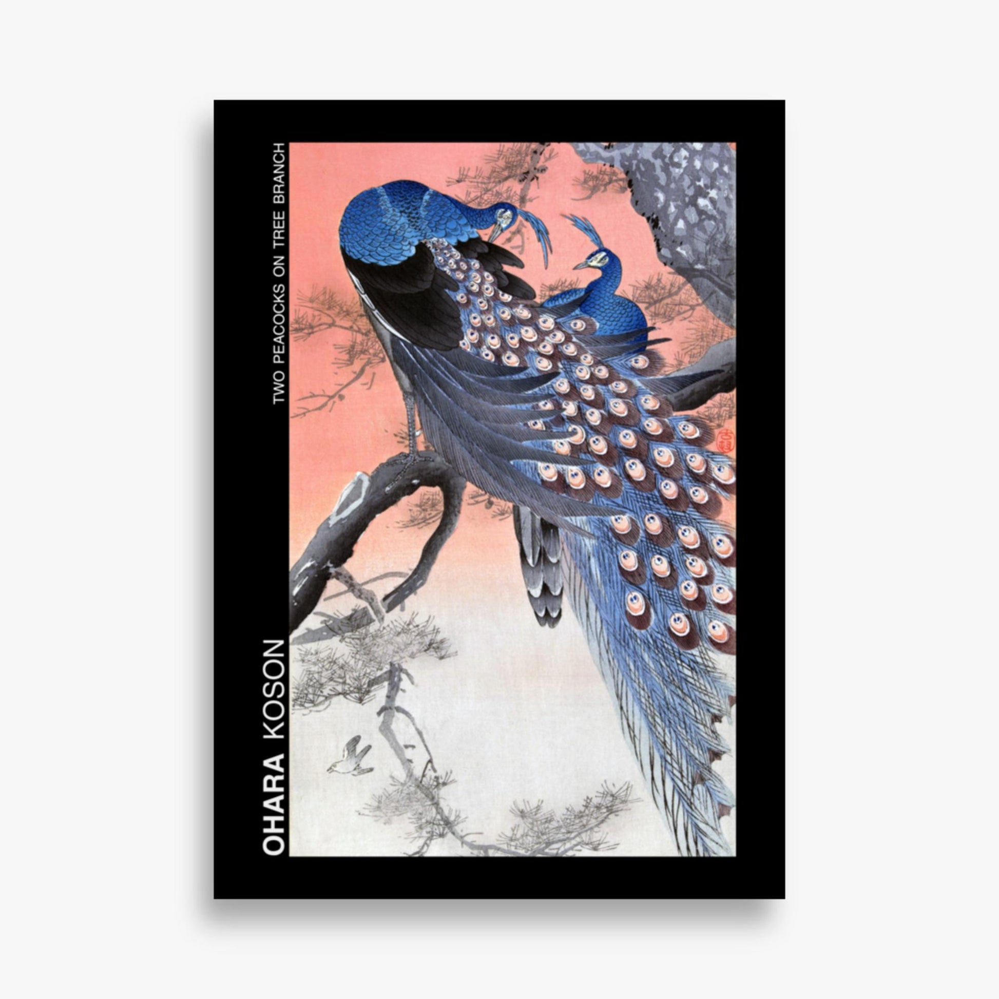 Ohara Koson - Two peacocks on tree branch - Decoration 50x70 cm Poster