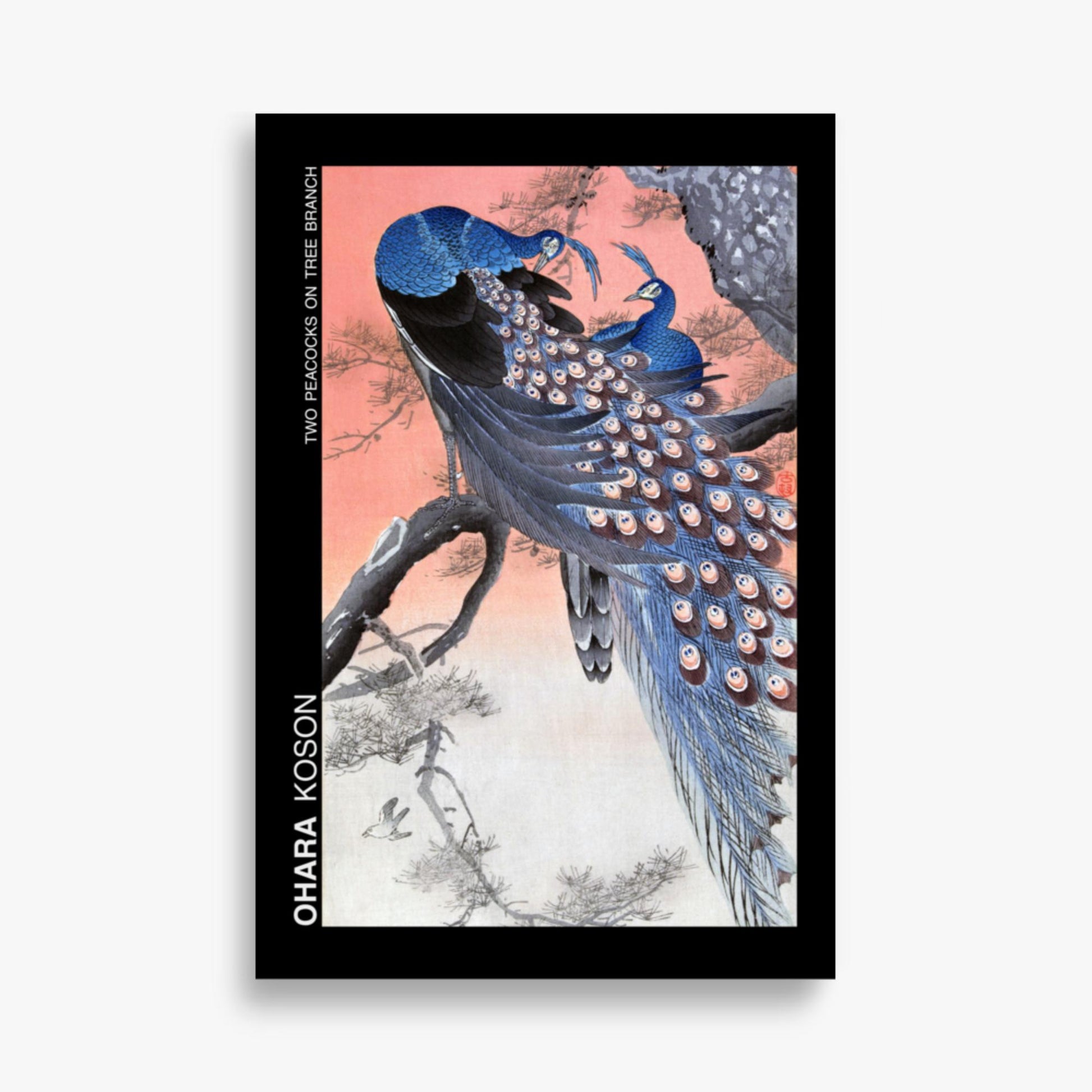 Ohara Koson - Two peacocks on tree branch - Decoration 61x91 cm Poster