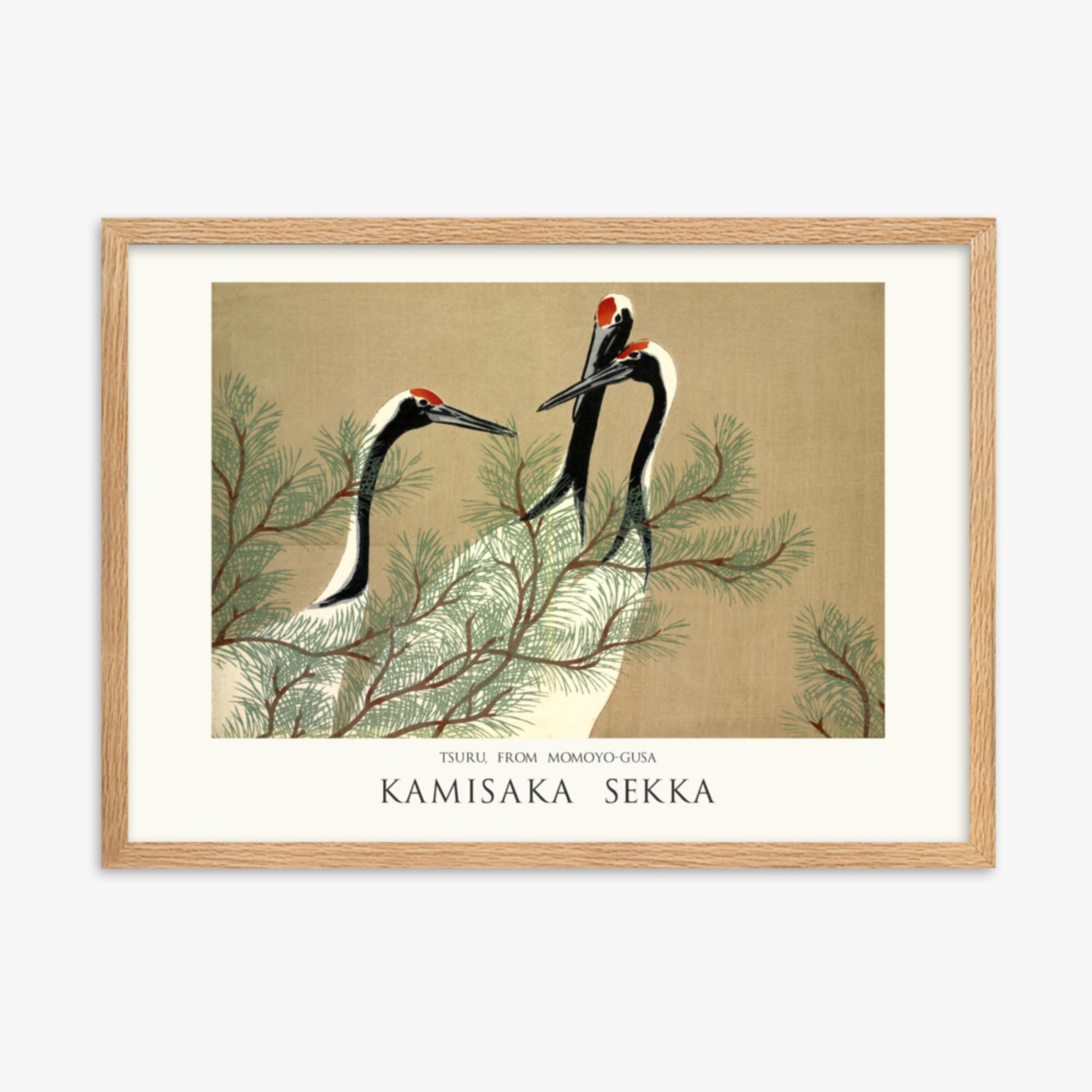 Kamisaka Sekka: Tsuru, from Momoyo-gusa - Japandi - 50x70 cm Poster With Oak Frame