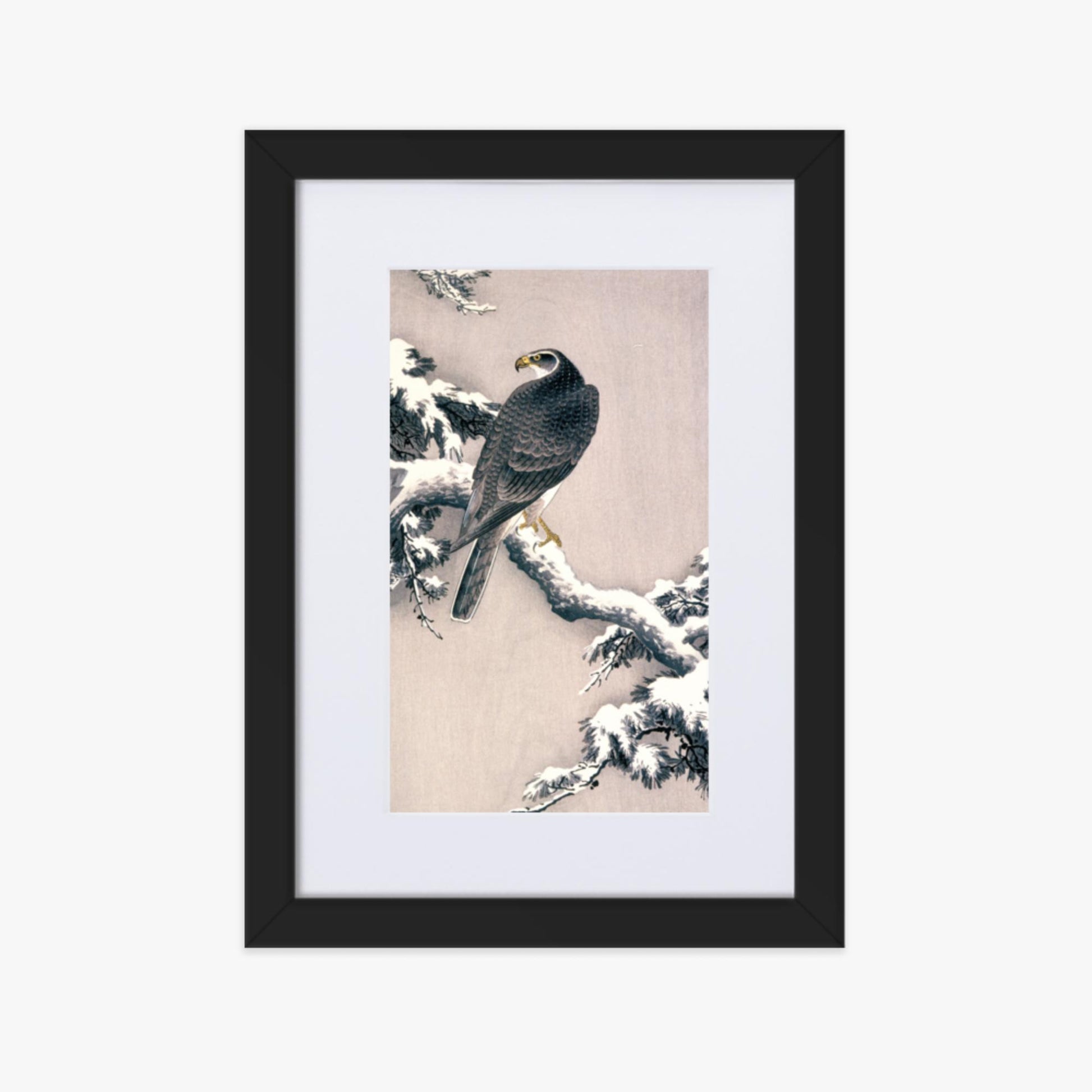 Ohara Koson - Goshawk on Snow-covered Pine Bough  21x30 cm Poster With Black Frame