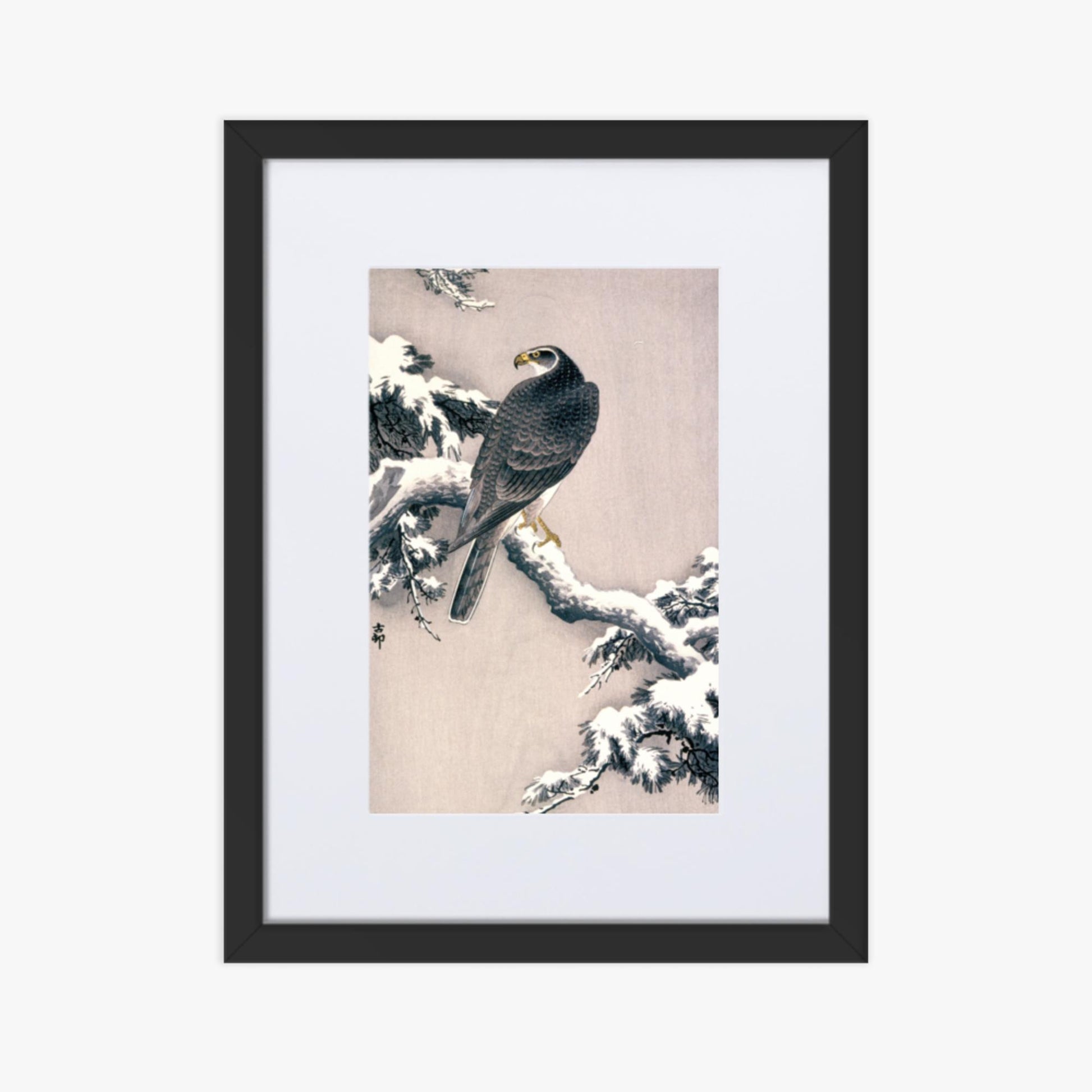 Ohara Koson - Goshawk on Snow-covered Pine Bough  30x40 cm Poster With Black Frame