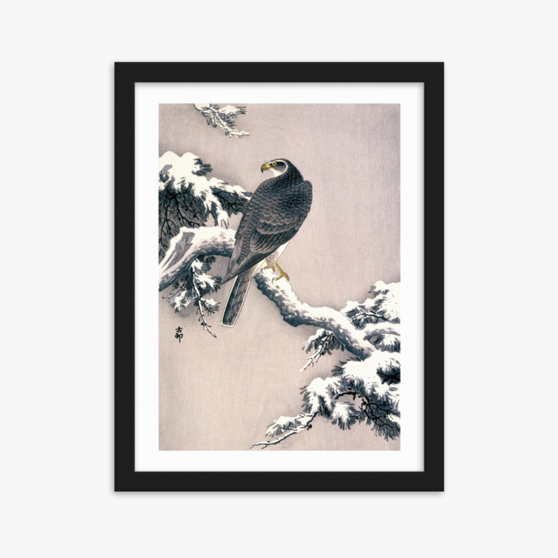 Ohara Koson - Goshawk on Snow-covered Pine Bough  30x40 cm Poster With Black Frame
