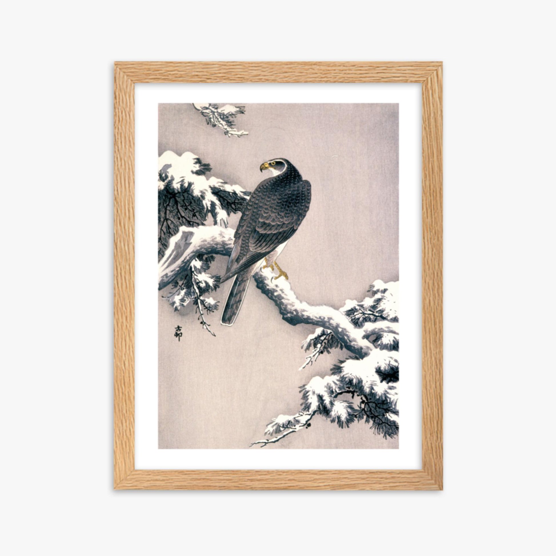 Ohara Koson - Goshawk on Snow-covered Pine Bough  30x40 cm Poster With Oak Frame