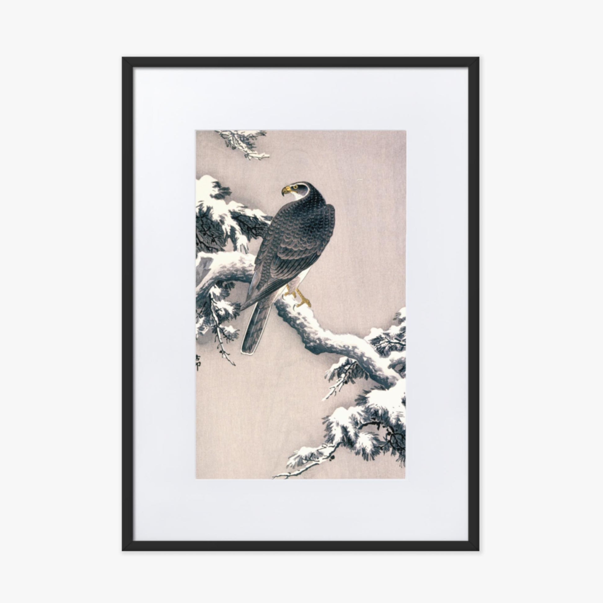 Ohara Koson - Goshawk on Snow-covered Pine Bough  50x70 cm Poster With Black Frame