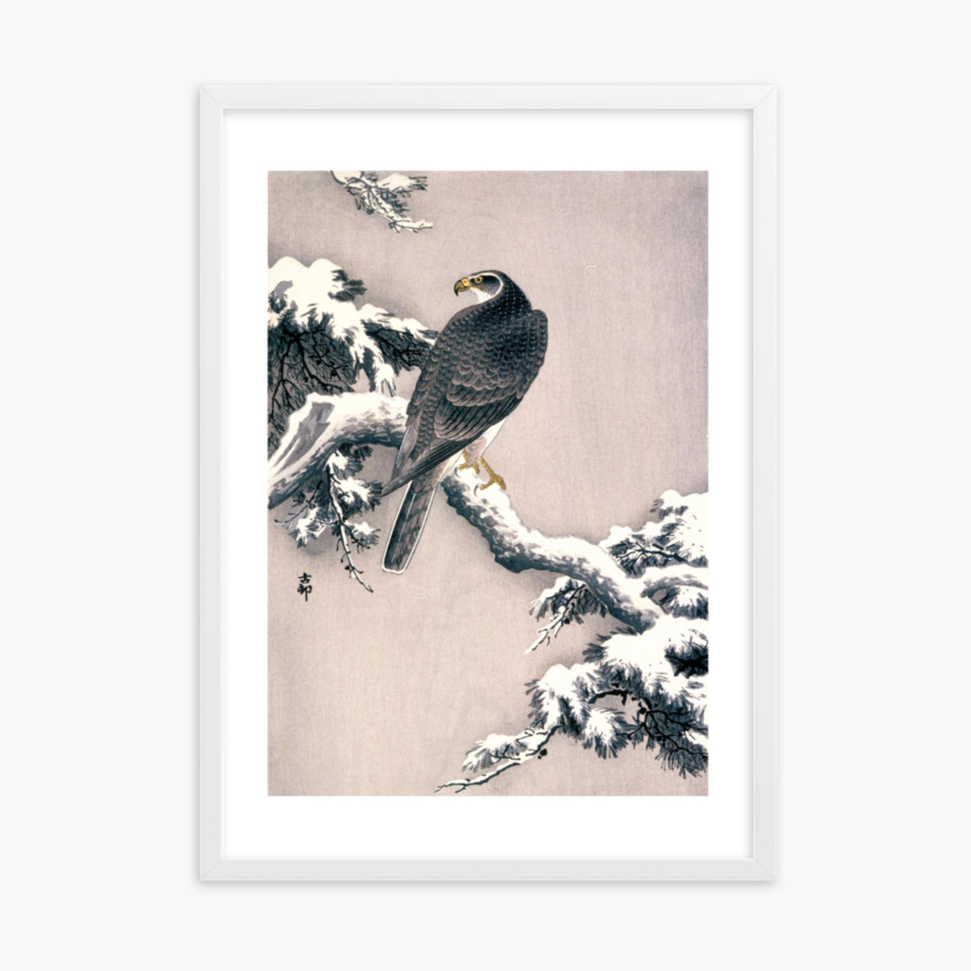 Ohara Koson - Goshawk on Snow-covered Pine Bough  50x70 cm Poster With White Frame