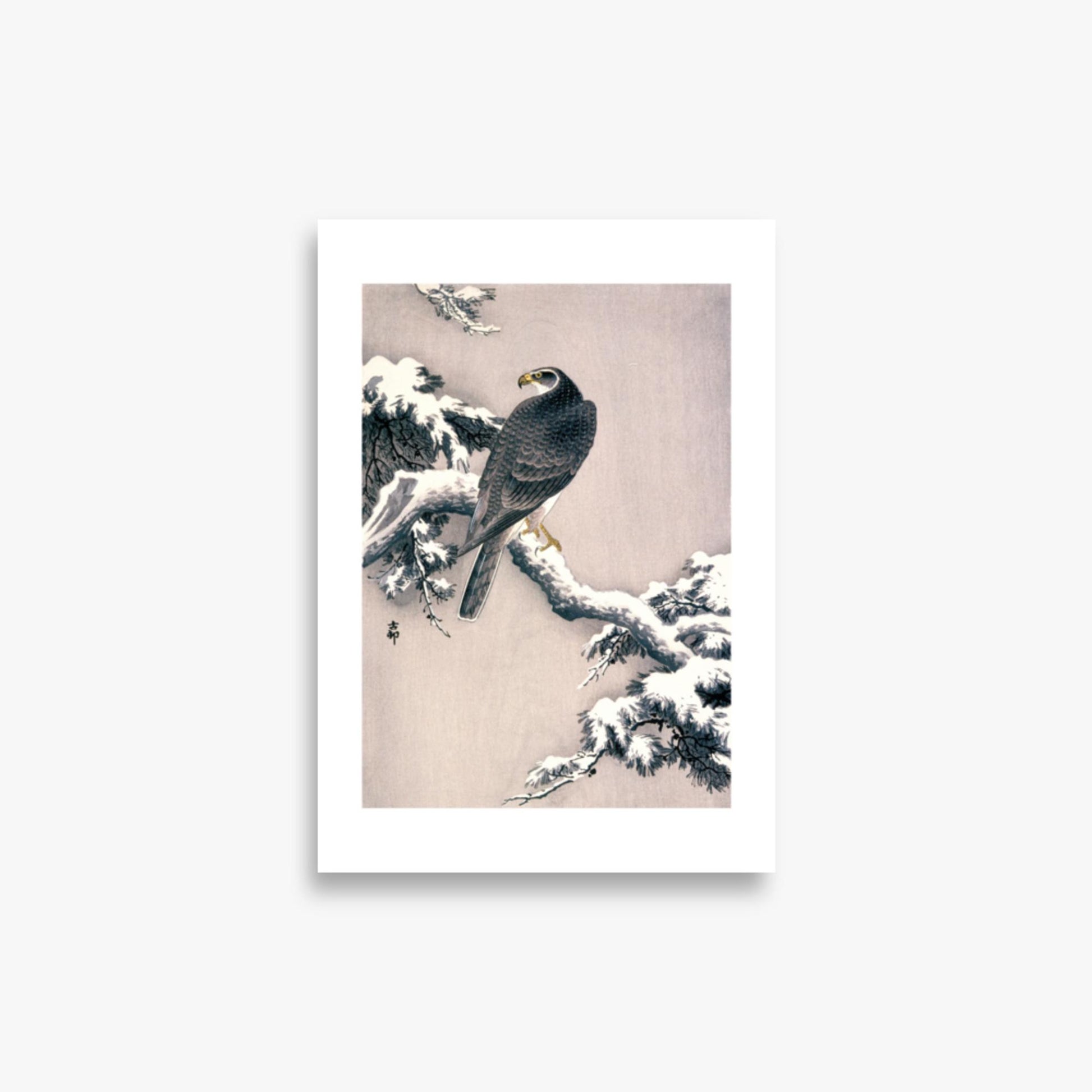 Ohara Koson - Goshawk on Snow-covered Pine Bough  21x30 cm Poster