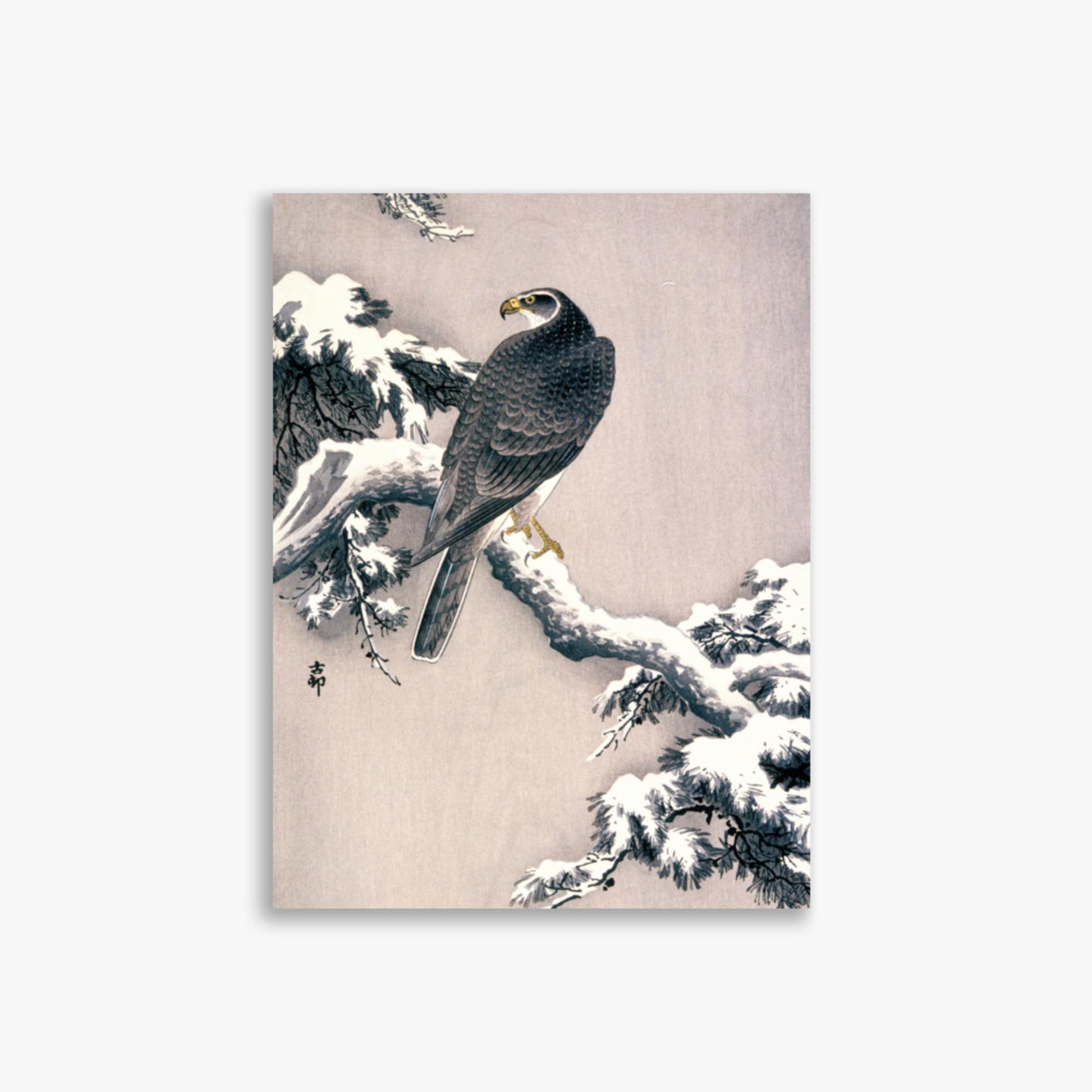 Ohara Koson - Goshawk on Snow-covered Pine Bough  30x40 cm Poster