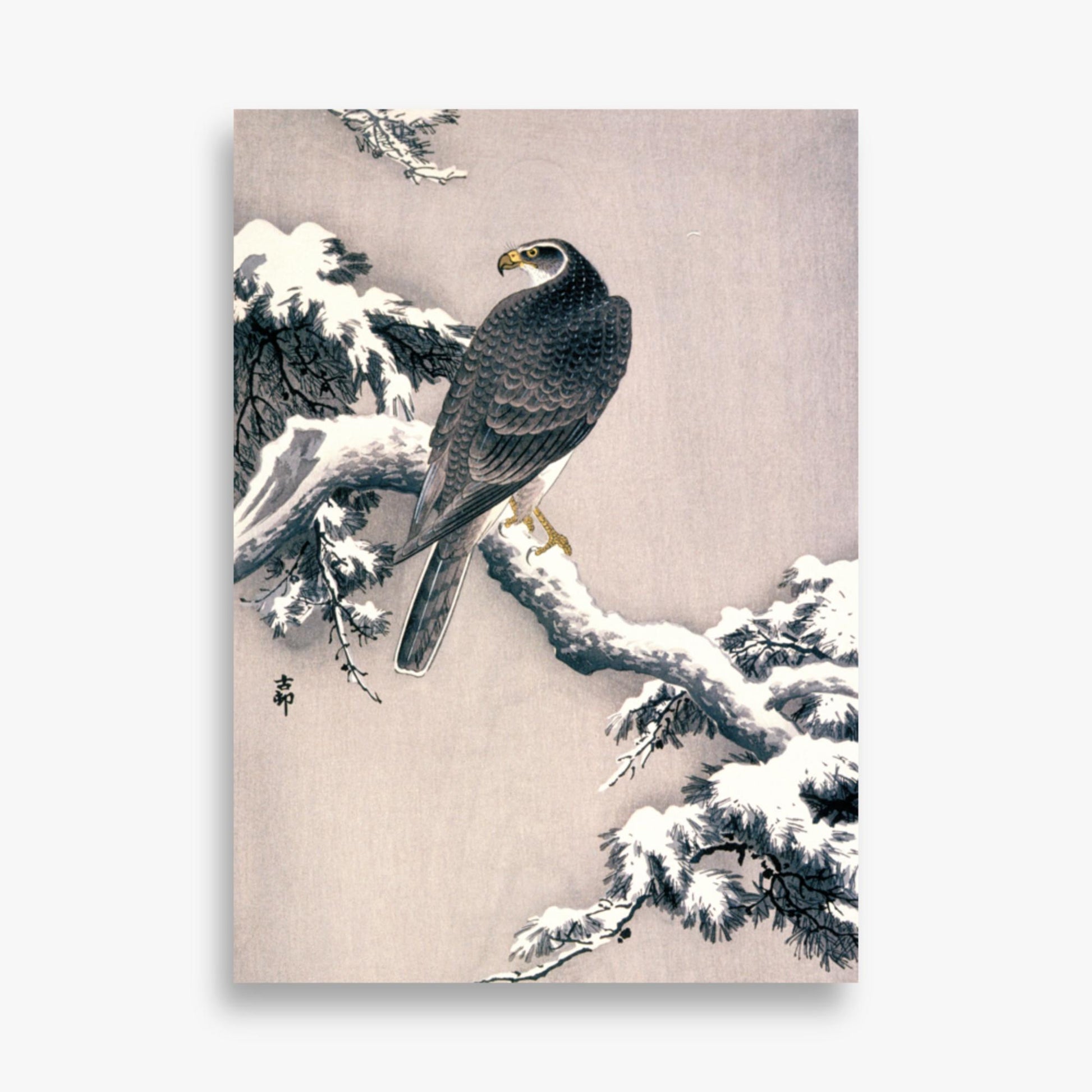 Ohara Koson - Goshawk on Snow-covered Pine Bough  50x70 cm Poster