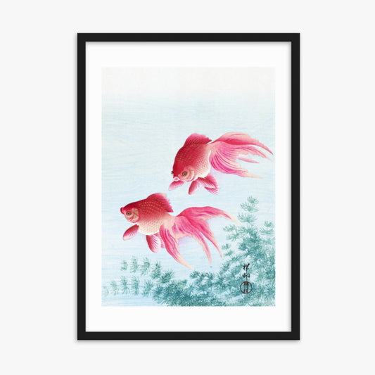 Ohara Koson - Two veil goldfish 50x70 cm Poster With Black Frame