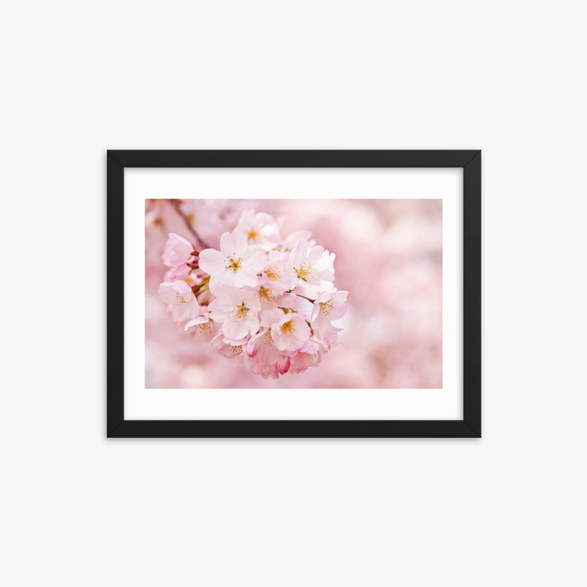 Cherry Blossoms 12x16 in Poster With Black Frame
